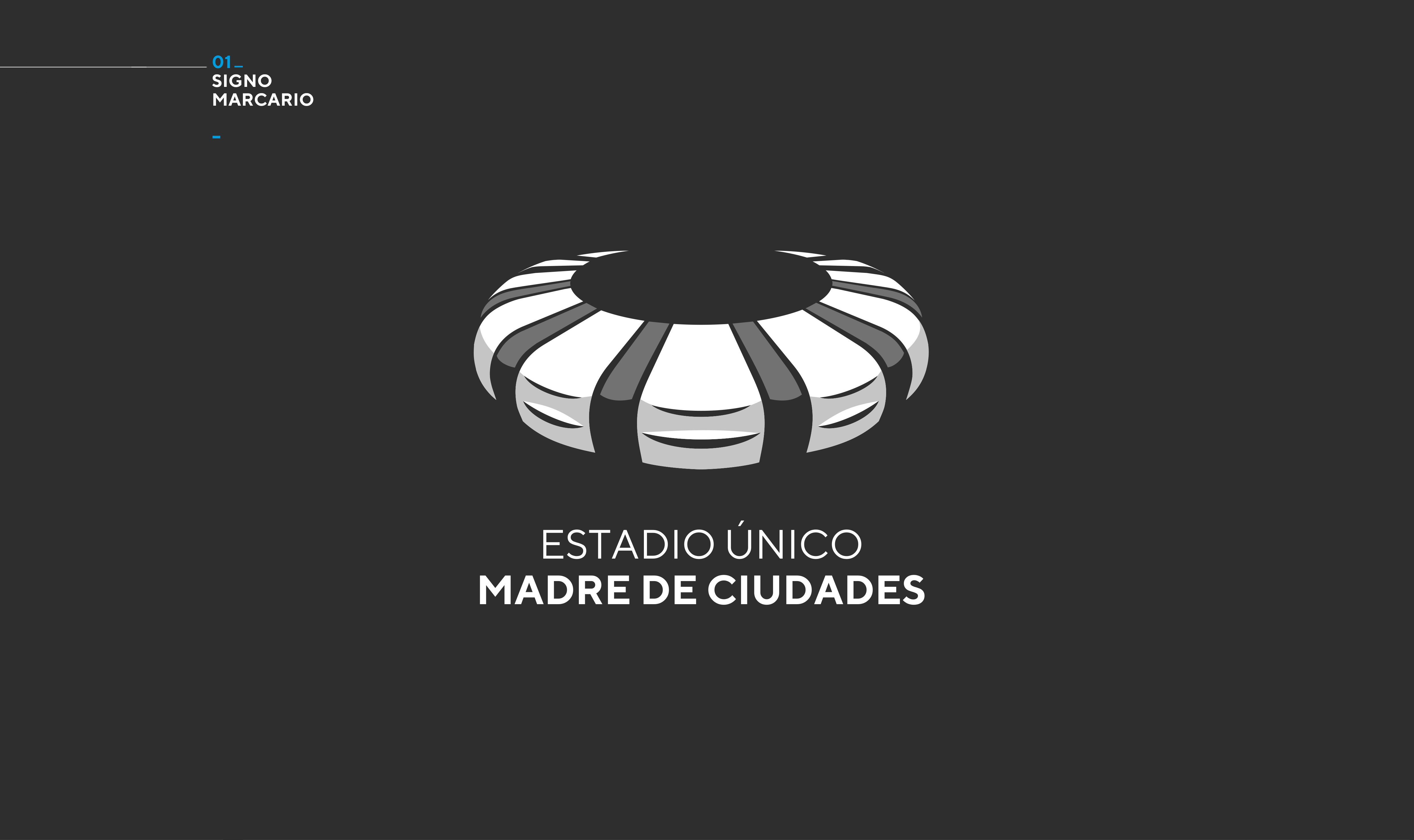 Estadio Madre de Ciudades-5