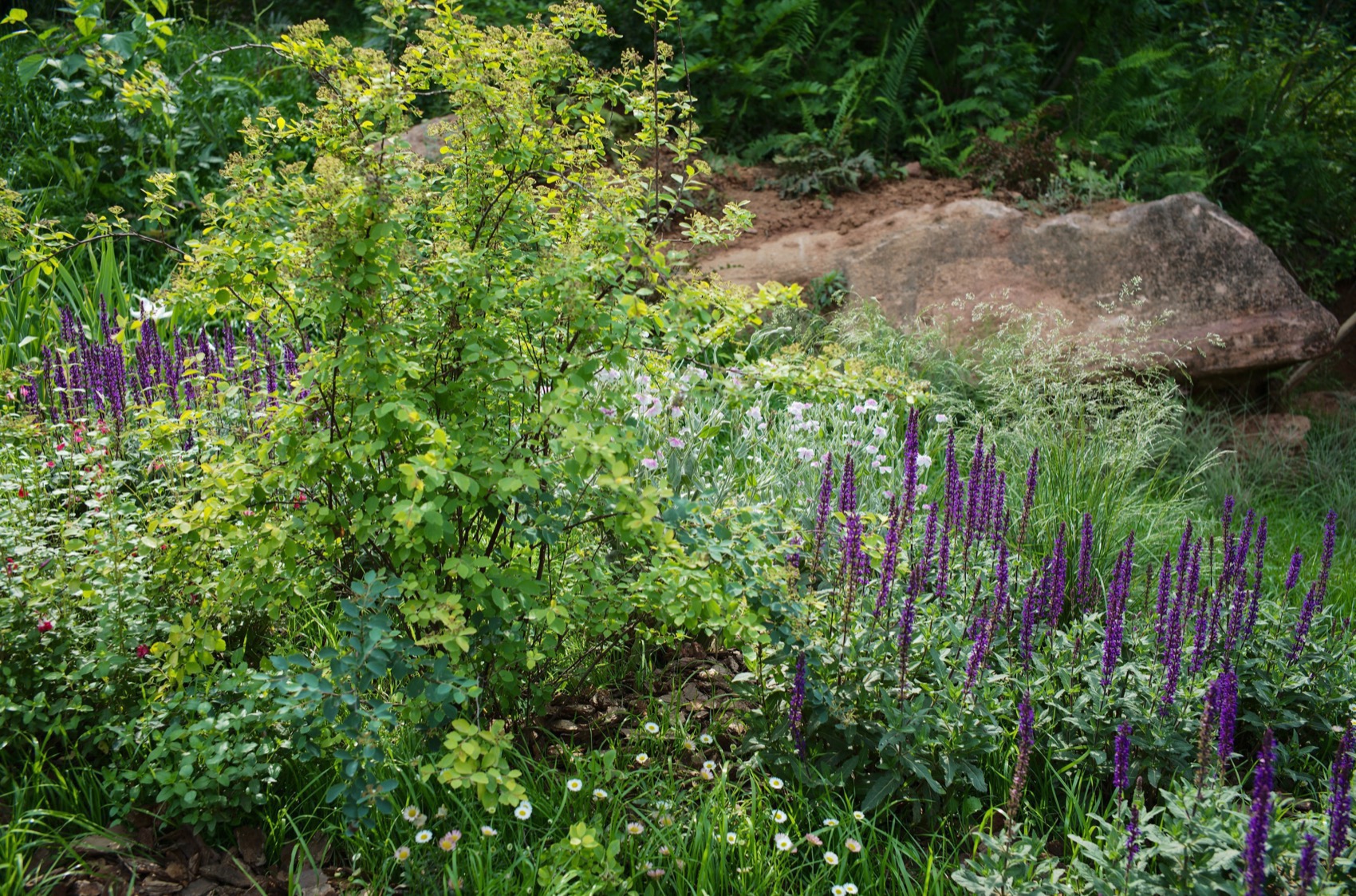 麓野公园丨中国成都丨四川乐道景观设计有限公司-143
