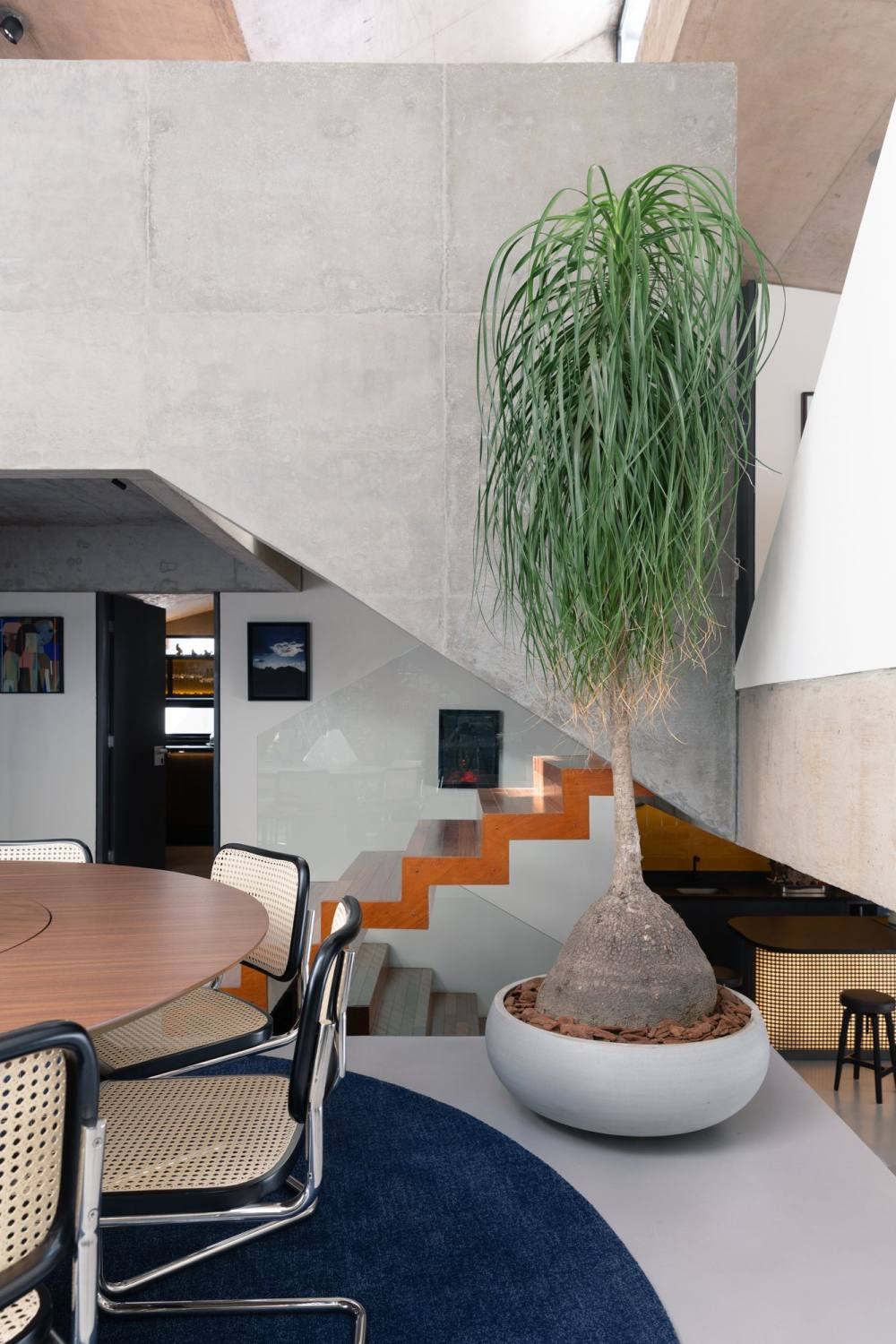 多色彩野蛮主义花园式混凝土别墅设计（原Casa MIC,后275号院）丨IN arq+design办公室-37