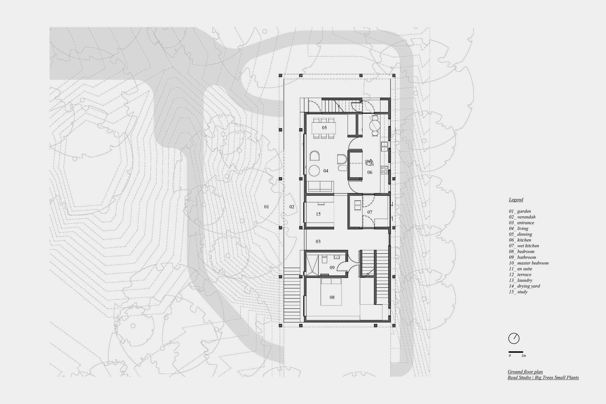 大树小植物屋丨Read Studio-19