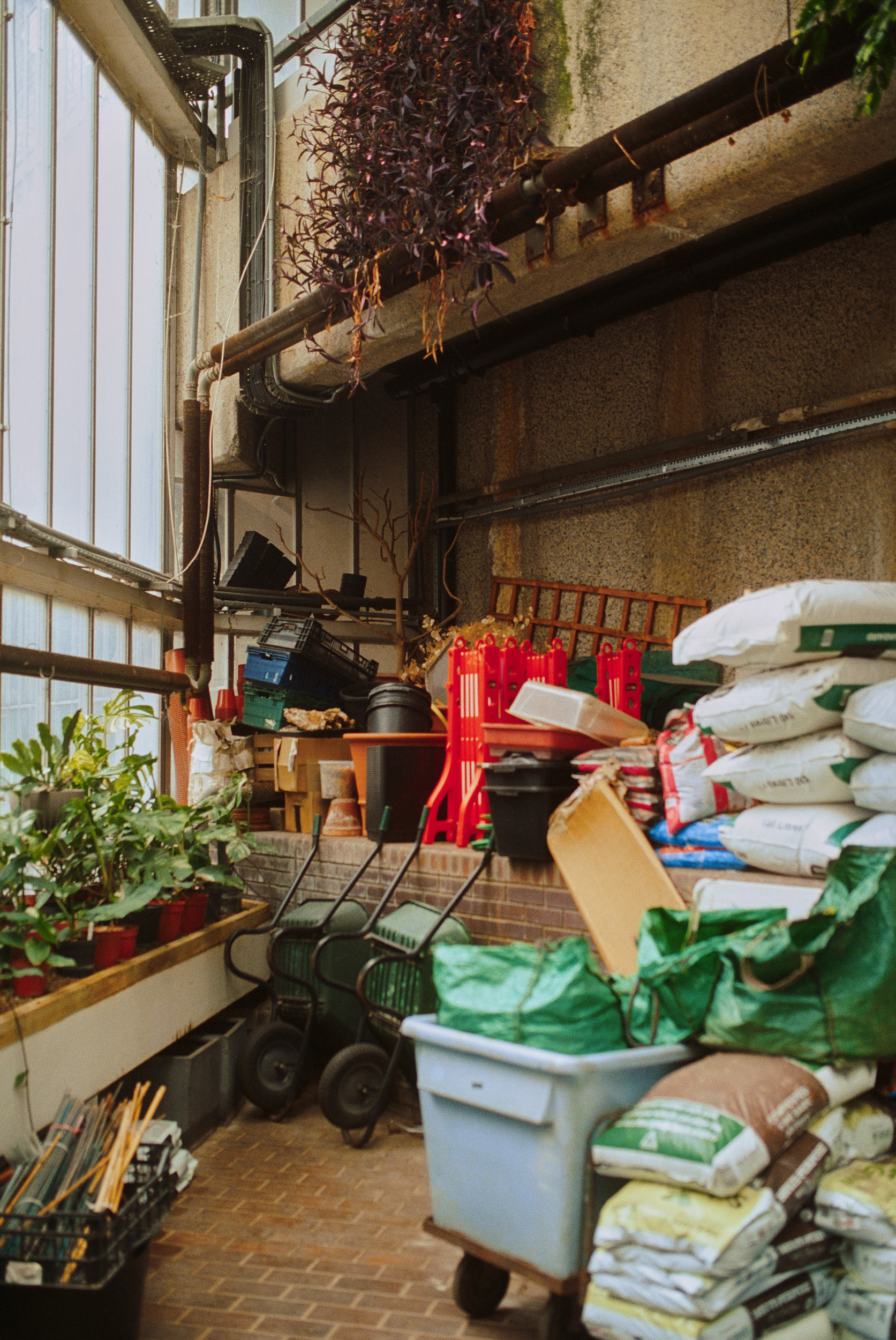 巴比肯温室丨英国伦敦-17