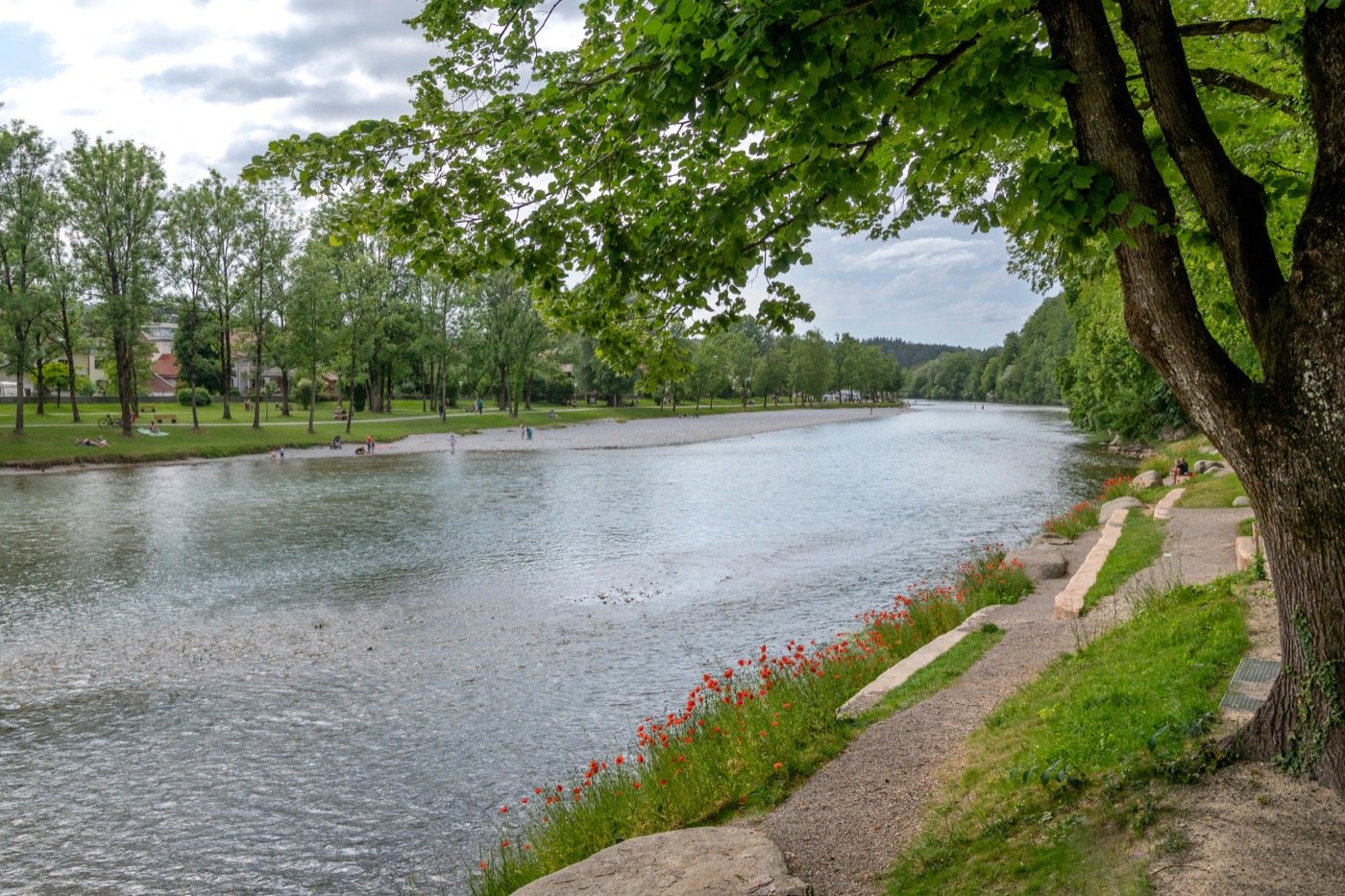 智利“陶本洛赫”公园-27