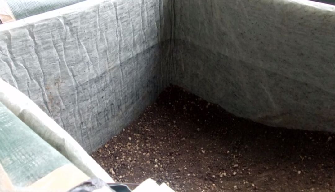 第四代住房「垂直森林」来了，竟在中国遍地开花！网友：蚊子太多，住不起......-101