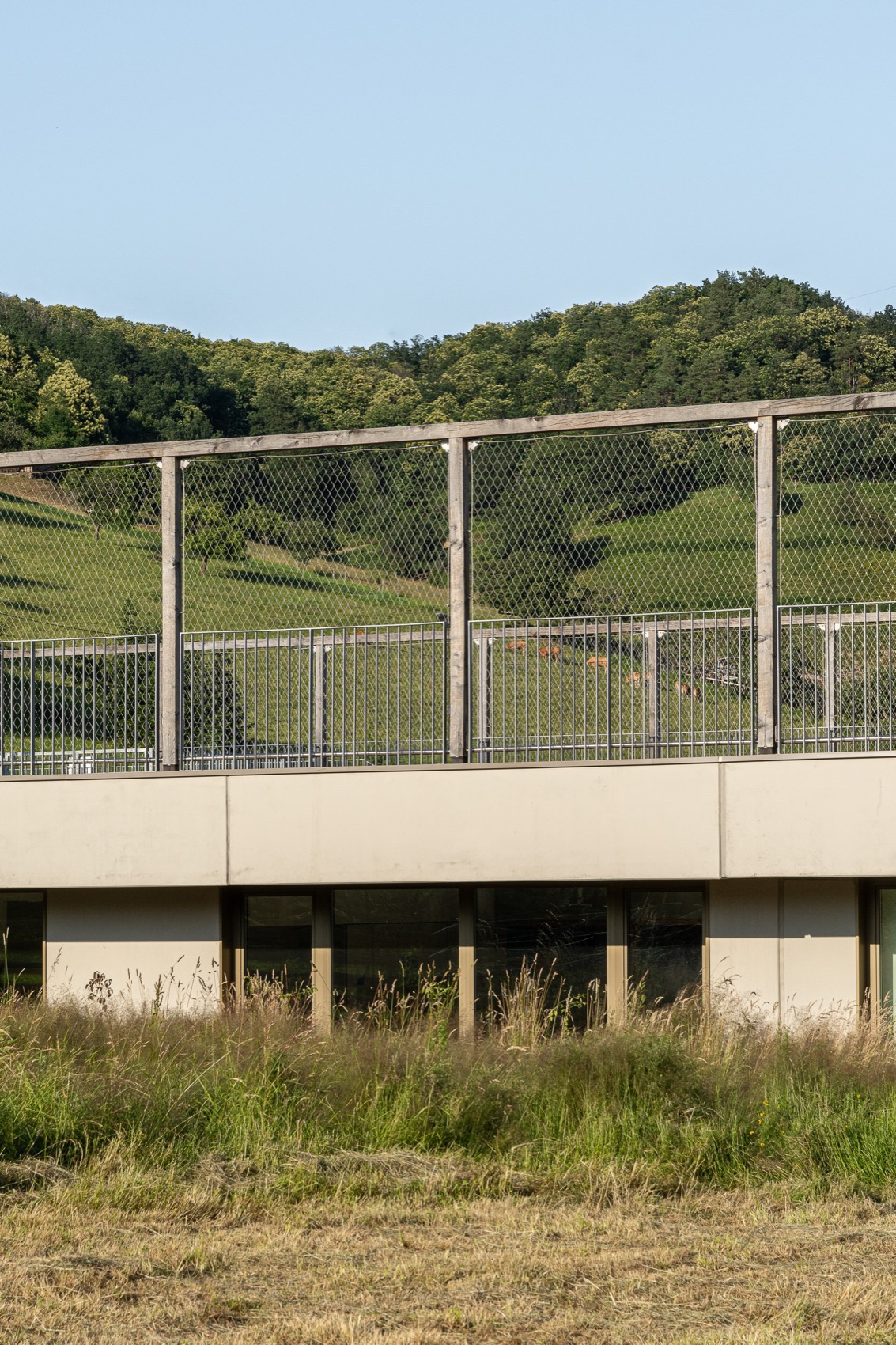 Honcourt 学校丨法国丨f+f architectes-19