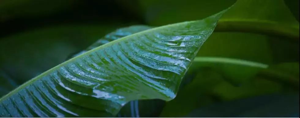 无用之美 | 品茗、赏雪、寻幽的室内设计-12