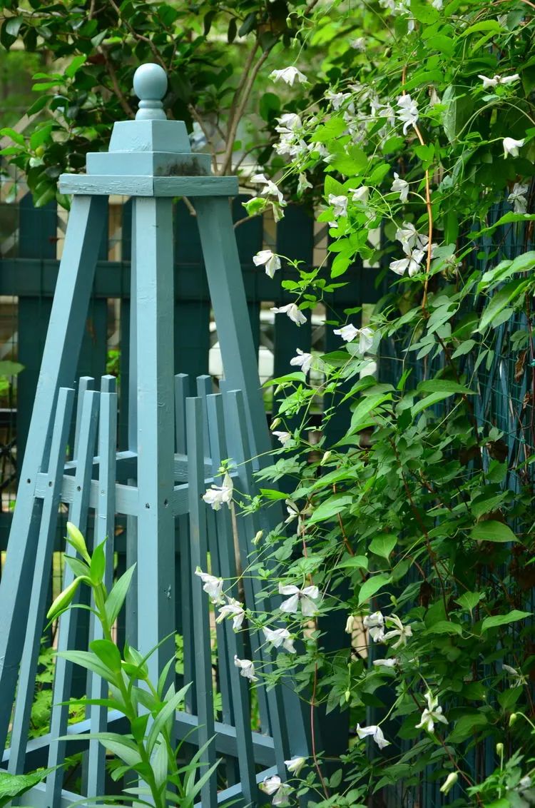 90后夫妻用4年时间，在魔都造了60平米花园，遛狗逗猫，好不惬意~-77