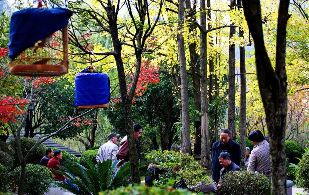 郊区“同居式”养老生活 | 自由、快乐、充实-9