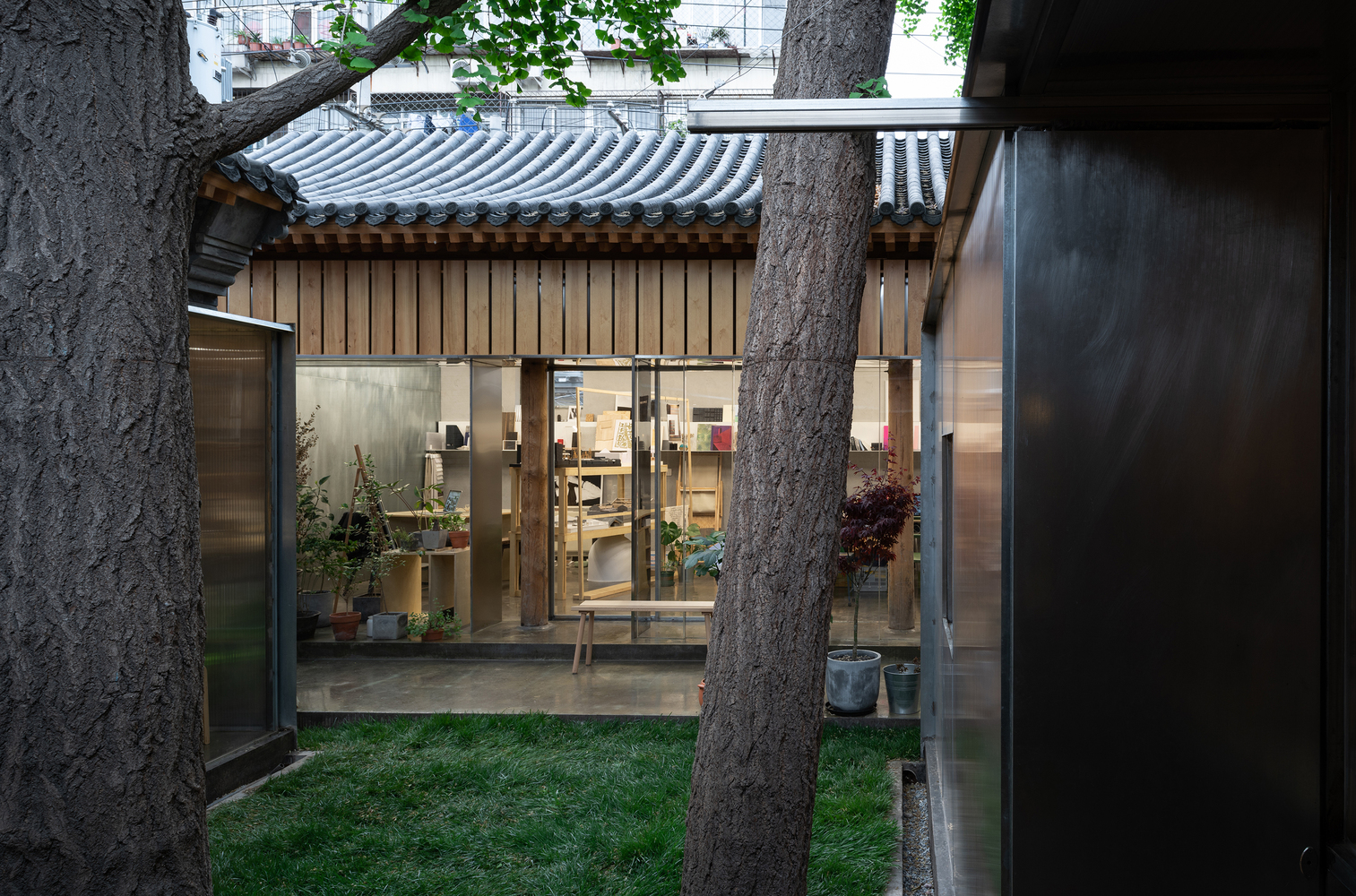 胡同里的生命实验室-90