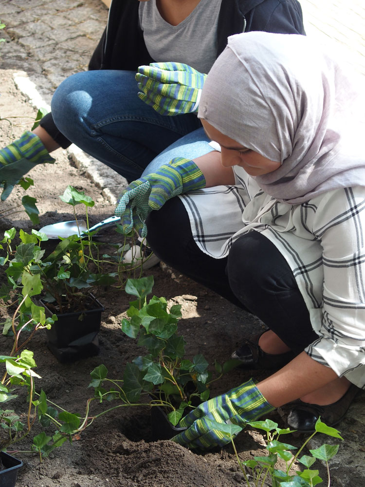 柏林伽利略小学绿色课堂-15