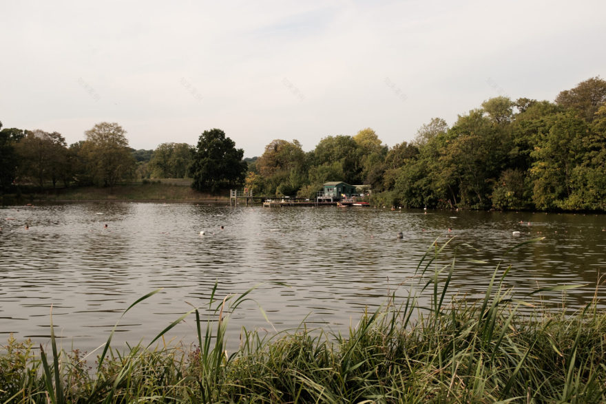 Take a Dip: London’s best swimming spots - from lakes to lidos | Journal | The Modern House-2
