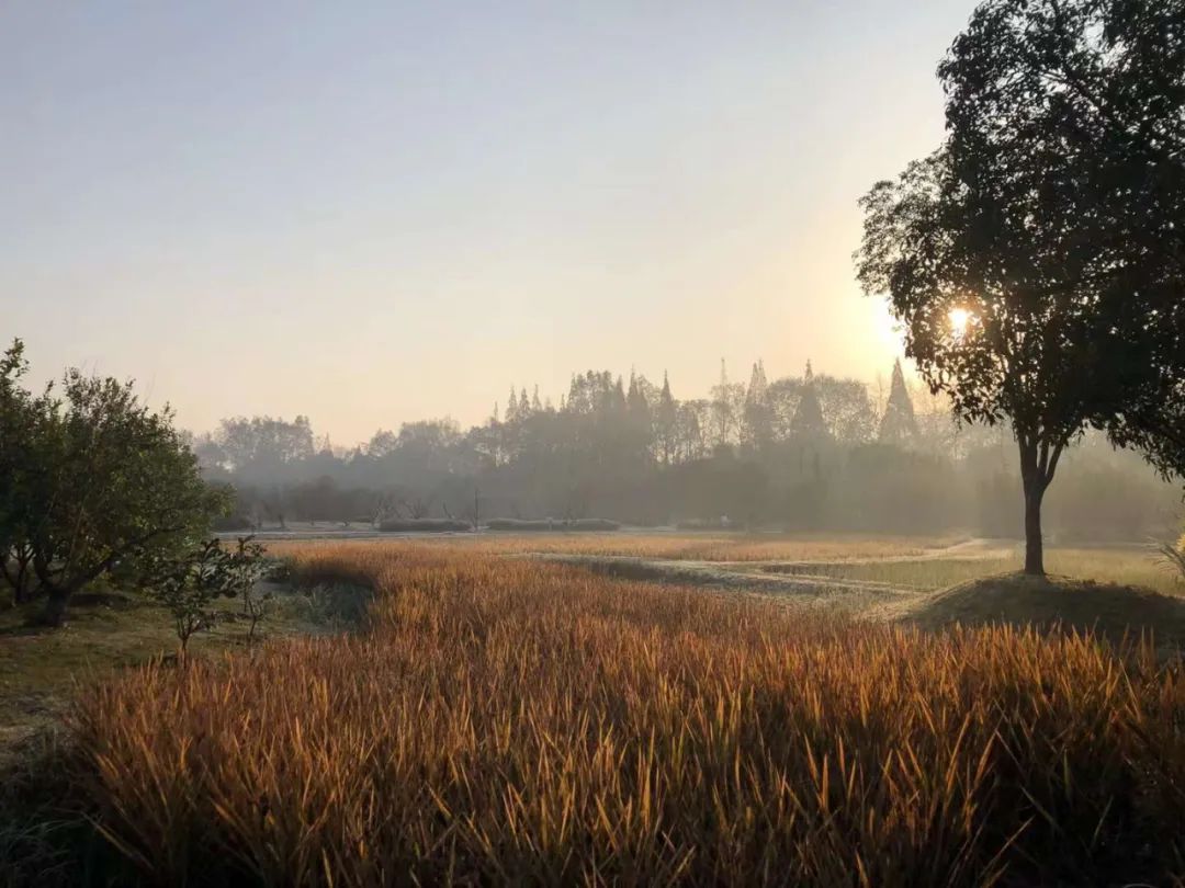 天府水岛林盘依田桃源丨中国成都丨梦景未来DDM-51
