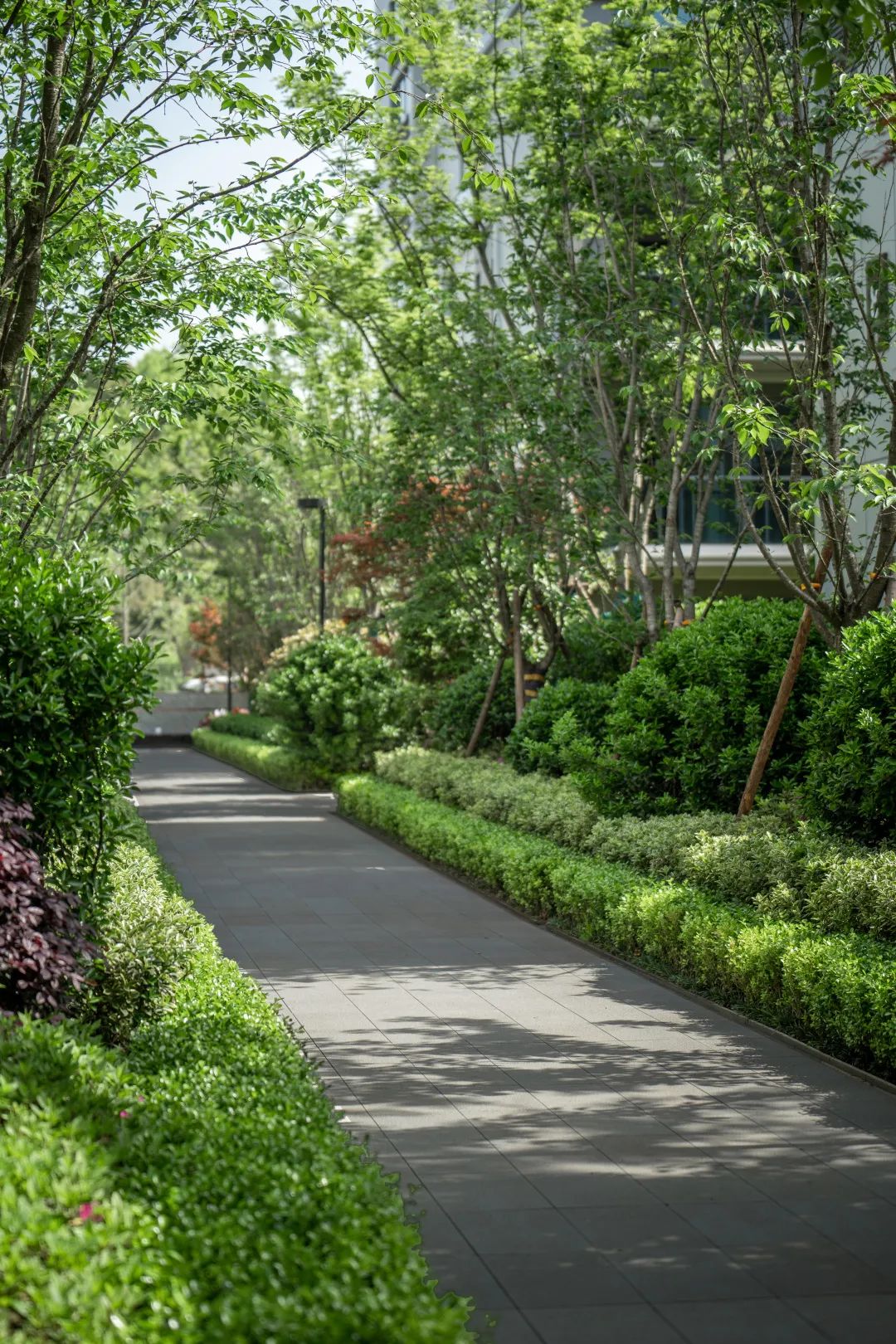 中南作品 | 建德江上云起，临江画境，自然盛景-61