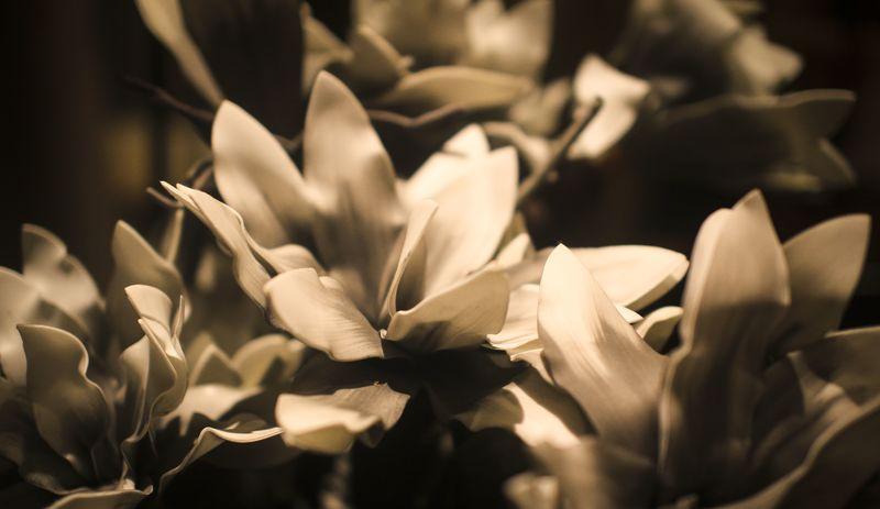 重庆蓝众投资会所-10