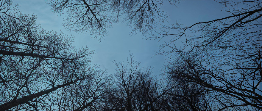 我未能找到PANIKHIDA的确切、通用的对应翻译可能它是一个较为生僻的术语、特定文化或宗教相关的词汇请补充更多关于该词的语境信息,以便我能更准确地进行翻译目前暂时无法提供有效翻译 丨Artur Tamioła,Bartosz Domiczek-22