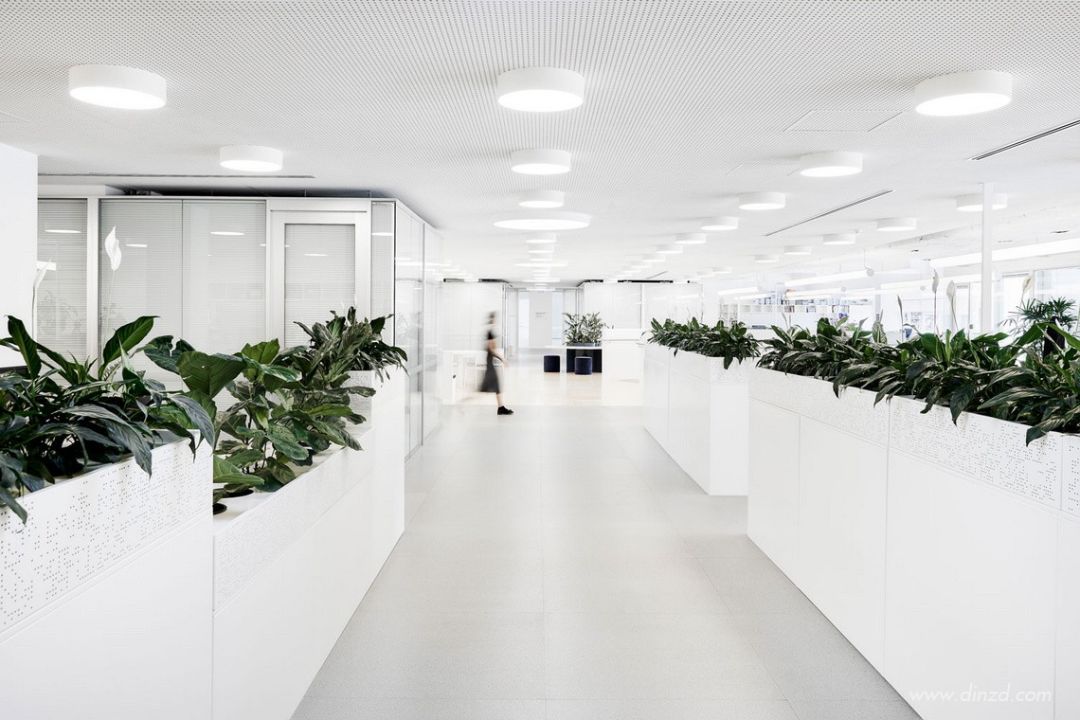 澳大利亚芭蕾舞团翻新 | 细腻与力量的平衡-20