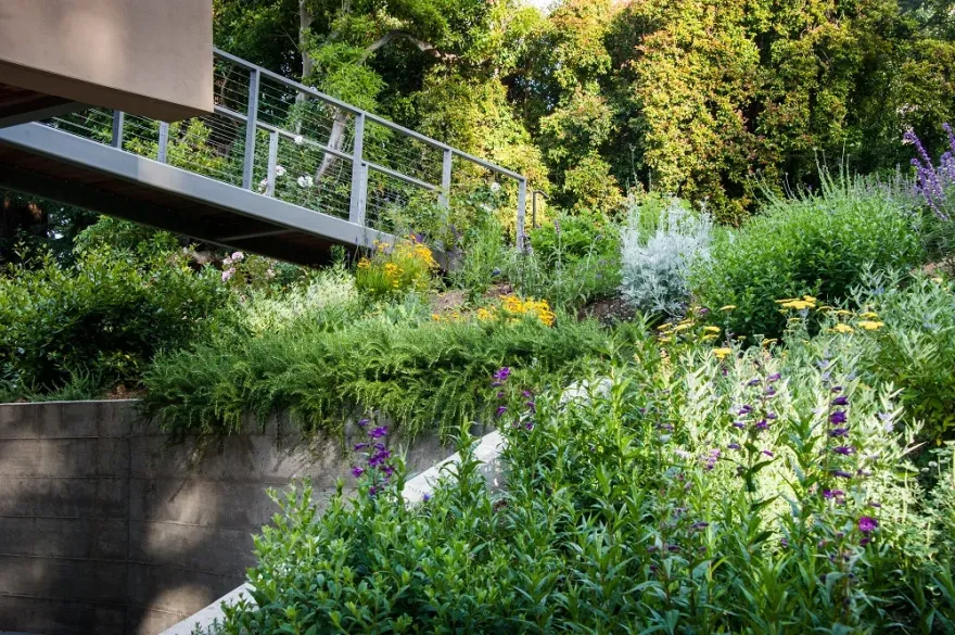 丨美国加利福尼亚丨CCS Architecture-10