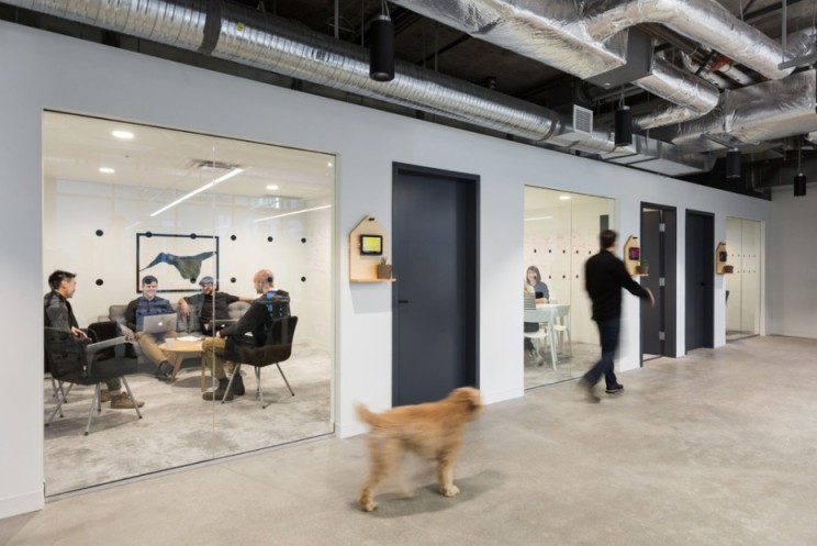 加拿大Bench会计事务所设计  Perkins + Will-6