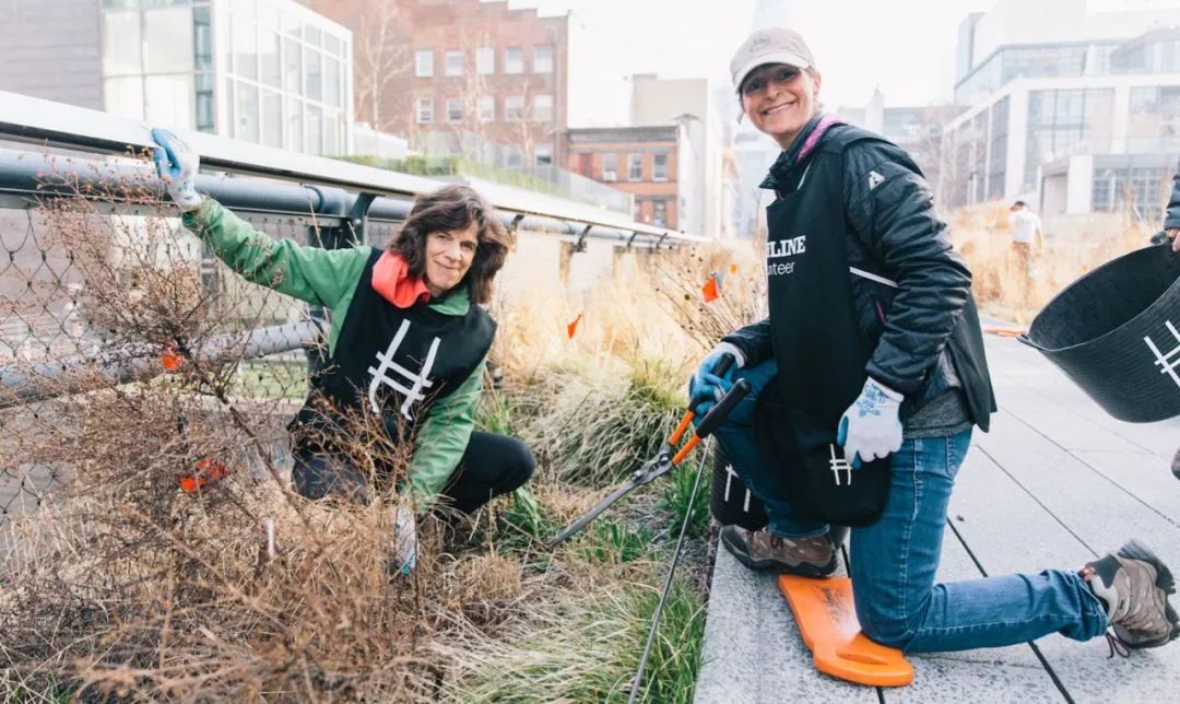 高线公园 (High Line Park)-347