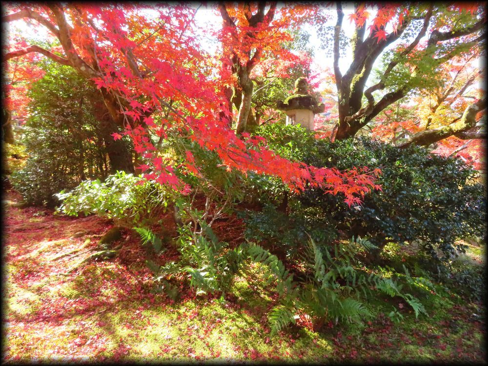 对龙山庄庭园丨日本京都丨七代目小川治兵衛-29