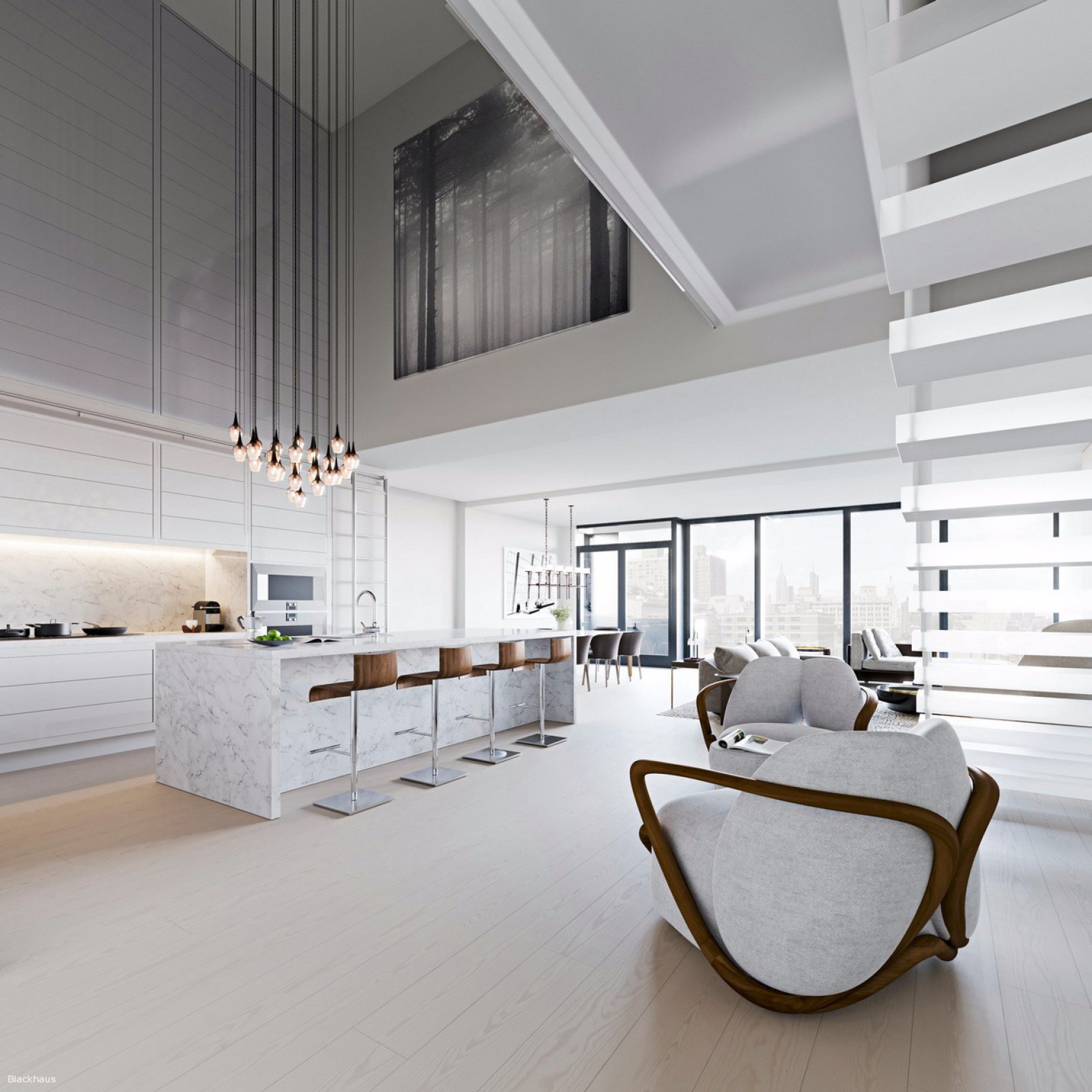 白与黑极简住宅设计  Blackhaus-2