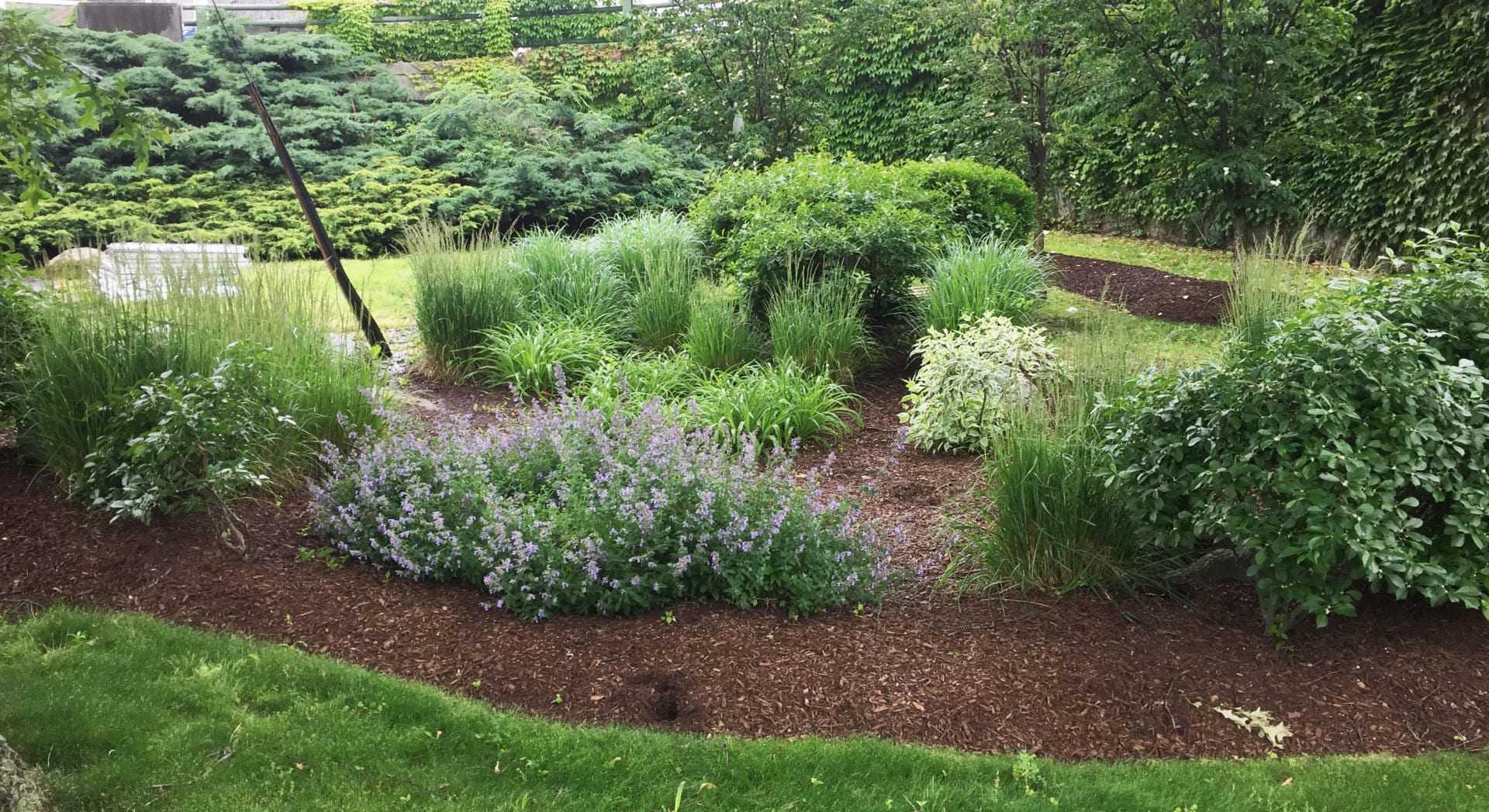 医疗办公室雨水花园丨美国普罗维登斯-24