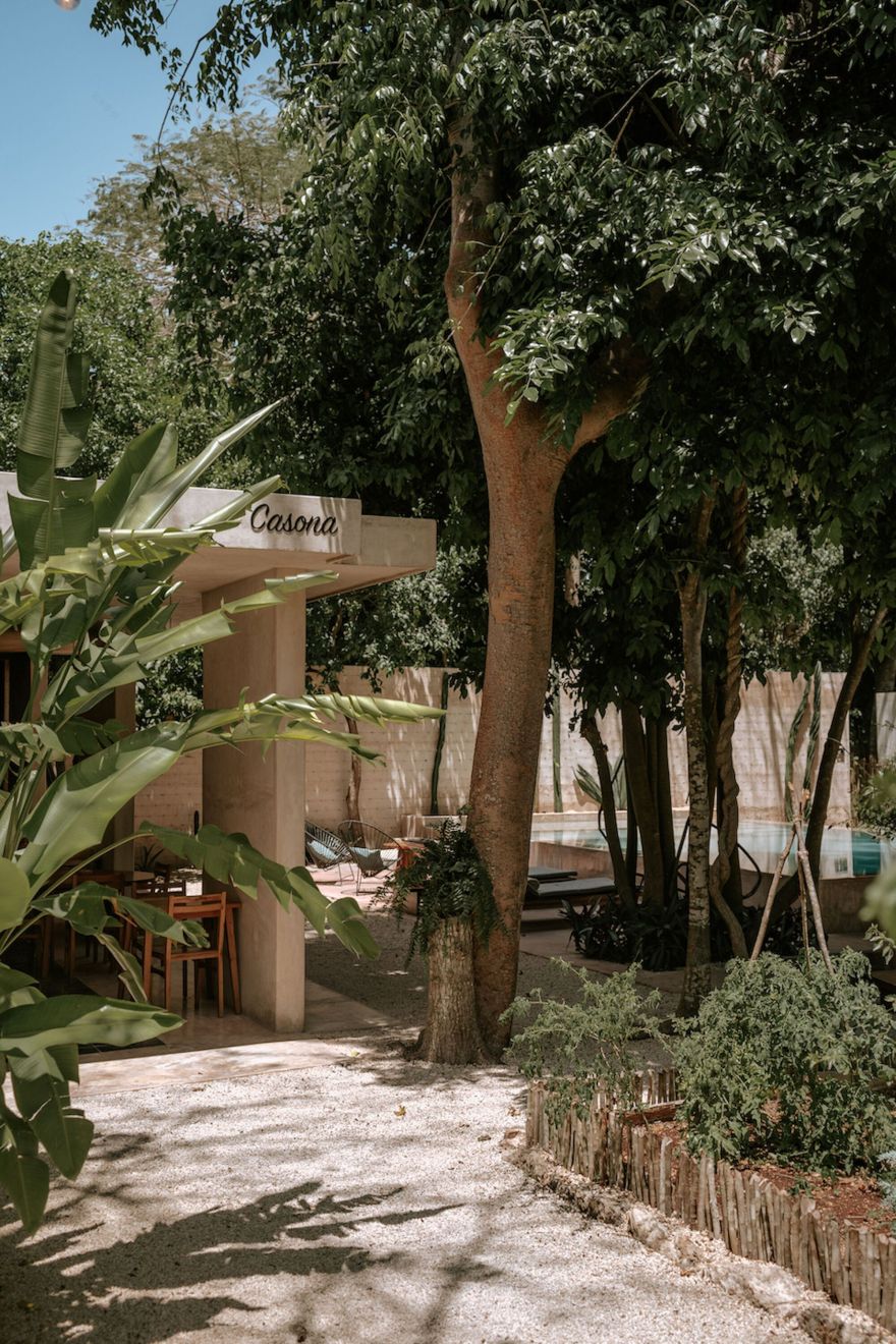 卡索纳洛斯塞德罗斯酒店丨墨西哥丨Laura Lecué Collectif COMO-50