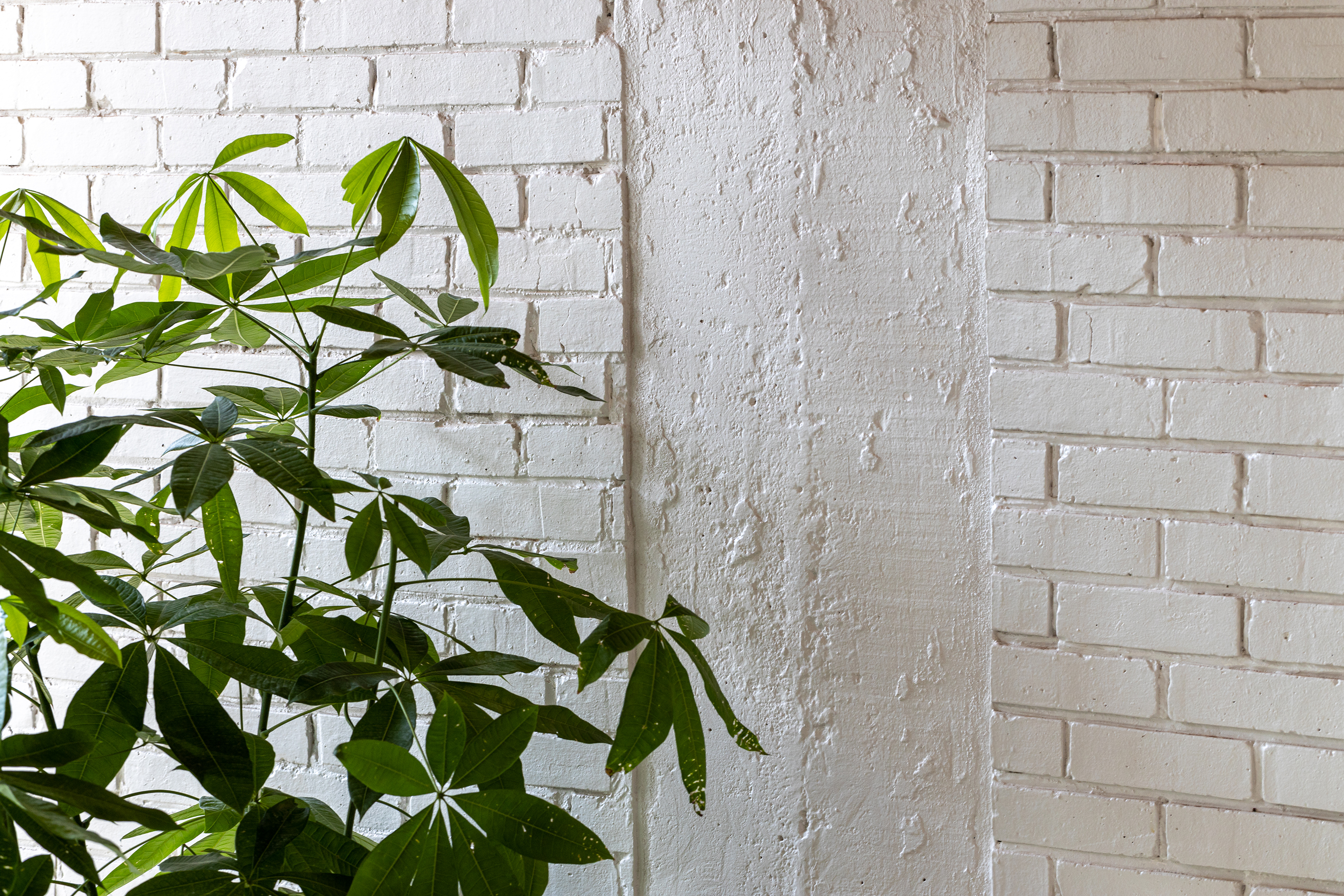 “S·O·S“雕塑空间 · SAOLA 建筑师的家庭住宅改造丨SAOLA ARCHITECTS-64