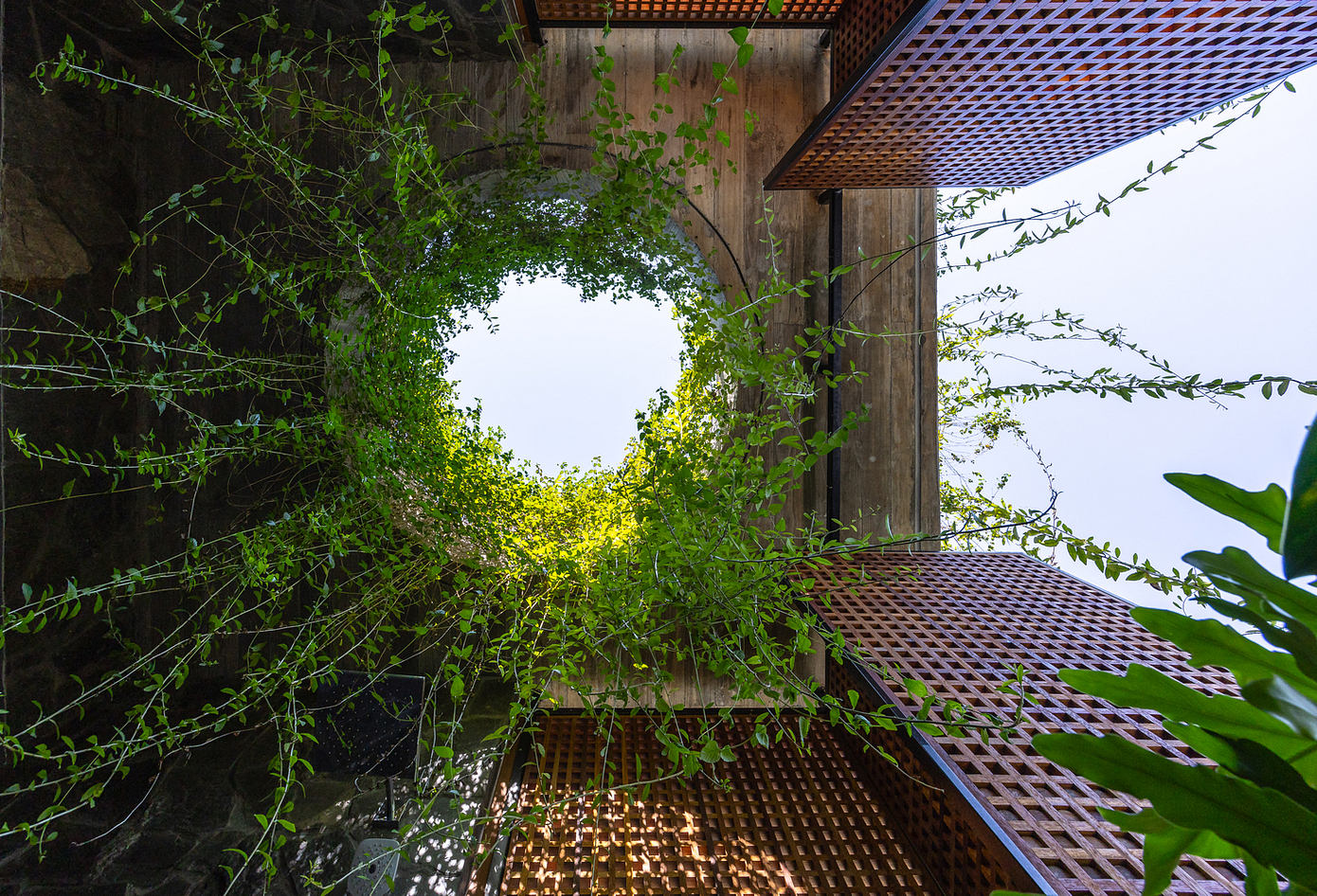 多拉别墅丨越南河内丨PAK architects-7