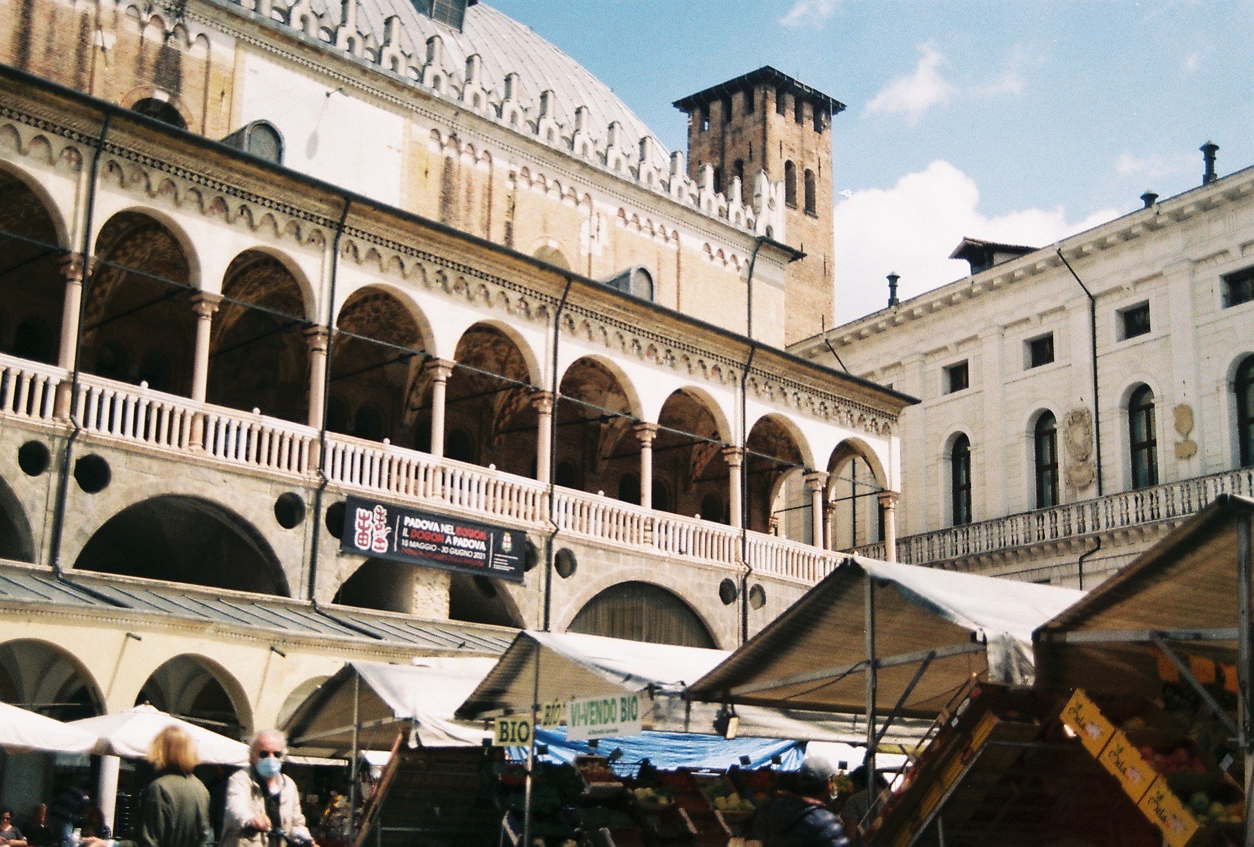 ANALOG TRIALS/ in italy-16