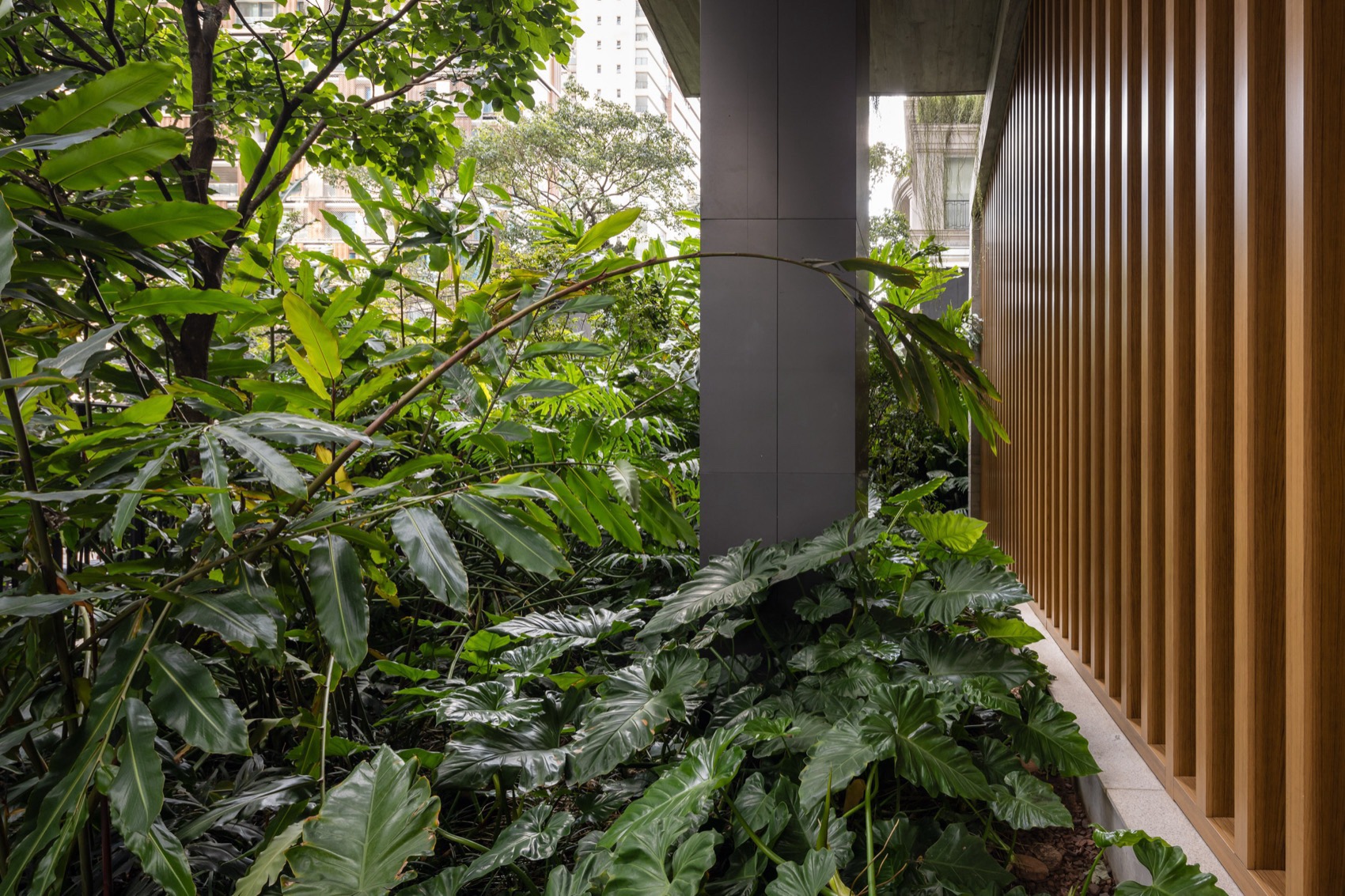 Leopoldo 1201住宅楼与景观设计丨巴西圣保罗-71