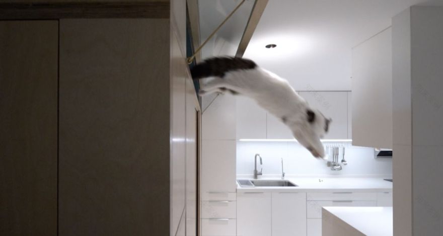 杭州夫妻买下40㎡破房,挖空地板造房中房,下班后在里面释放压力-65