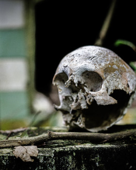 LA BELLEZA CONTRA LA INFAMIA