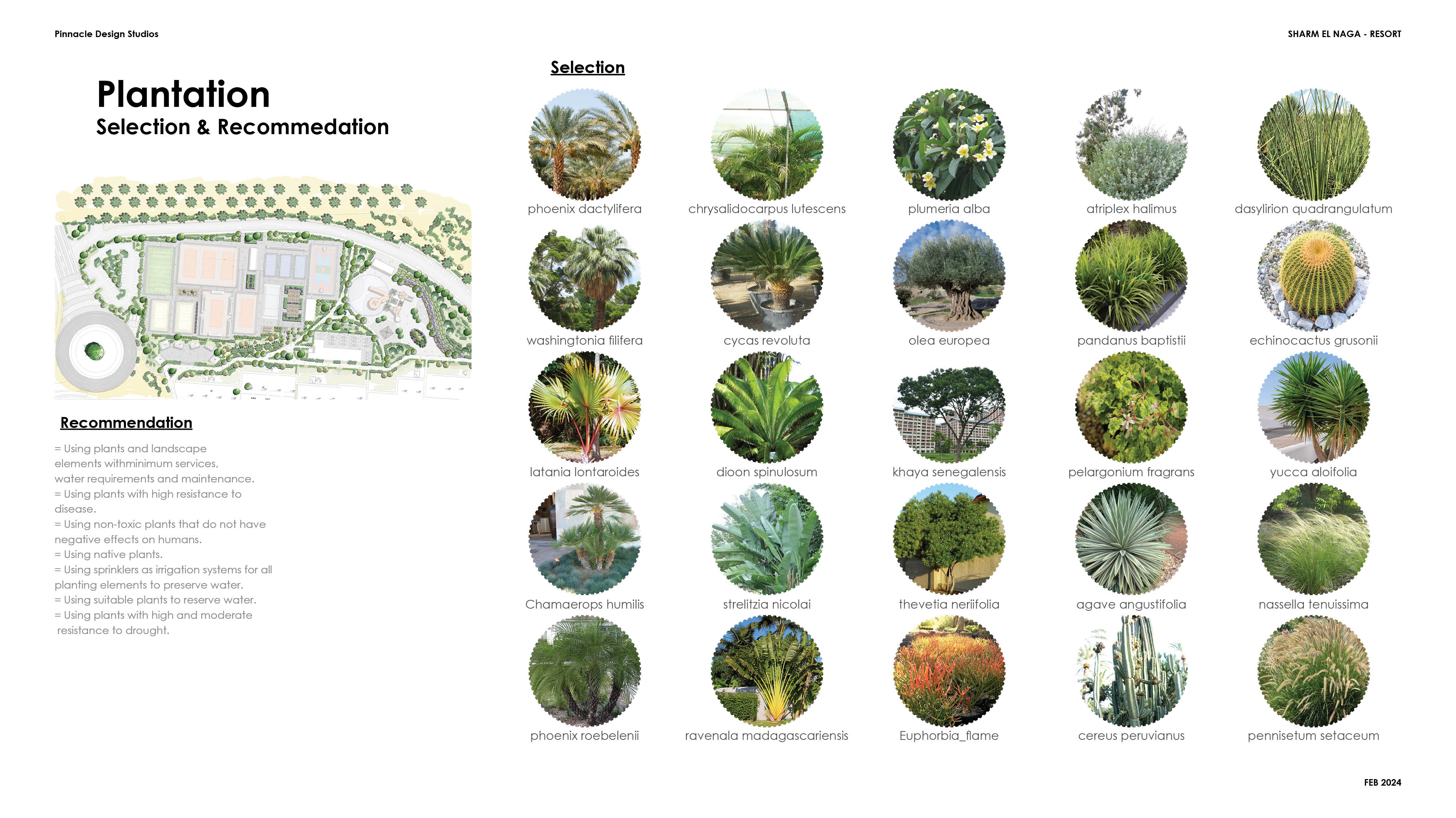 体育与娱乐区概念设计丨埃及丨Pinnacle Design Studio.-27