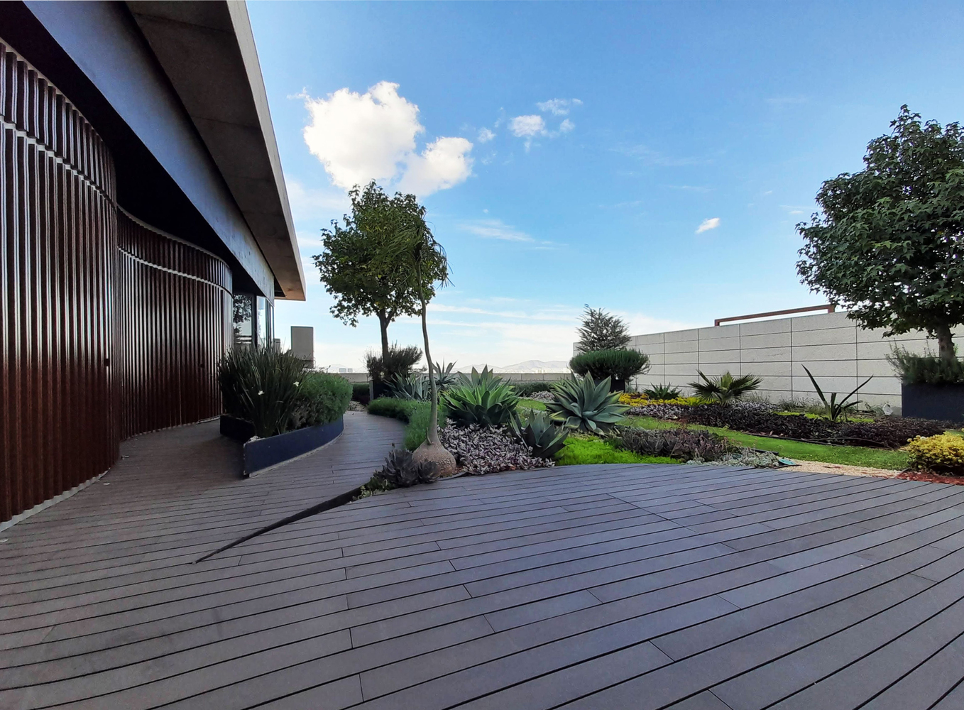 金融科技 TK 办公室丨墨西哥墨西哥城丨QARQ-15