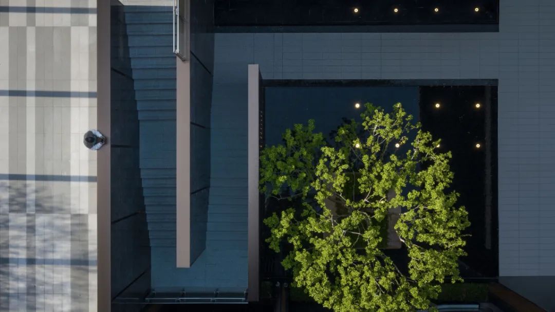 卓越·和奕府（展示区）丨中国深圳丨上海日清景观设计有限公司-34