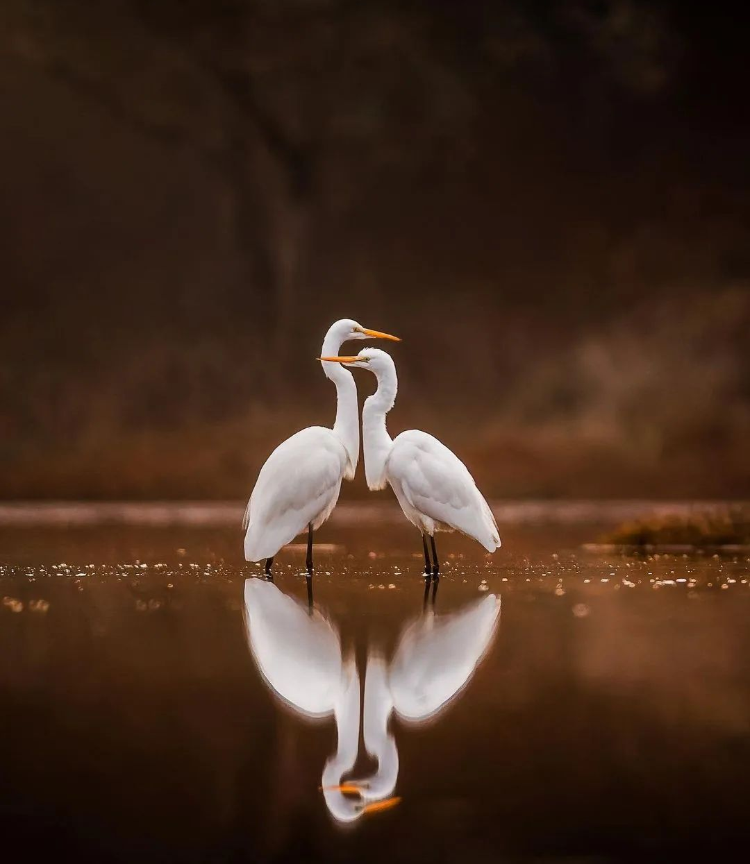 惠州雅居乐·白鹭湖叠墅丨中国惠州丨EPÌC DESIGN 巨作设计-2