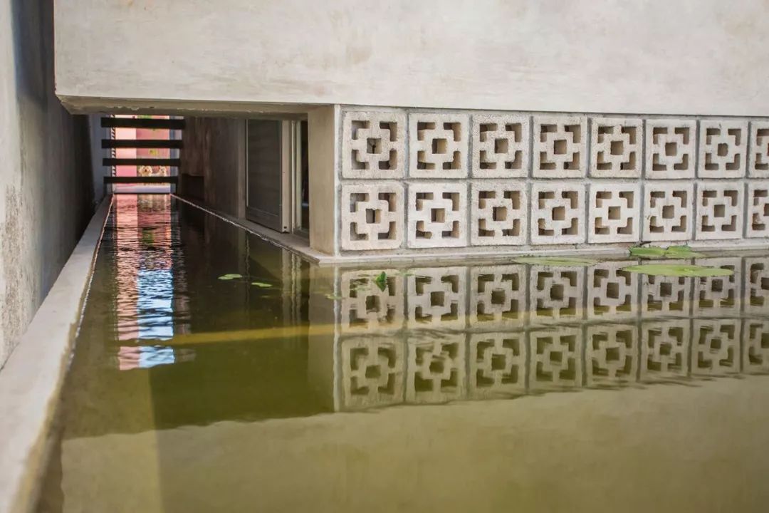 TACO 建筑探寻归属感 | 墨西哥梅里达的多学科设计实践-32