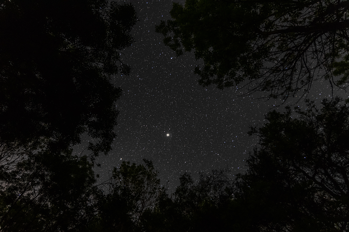 圣卢西亚桥丨安娜斯塔西娅·古奇娜-12