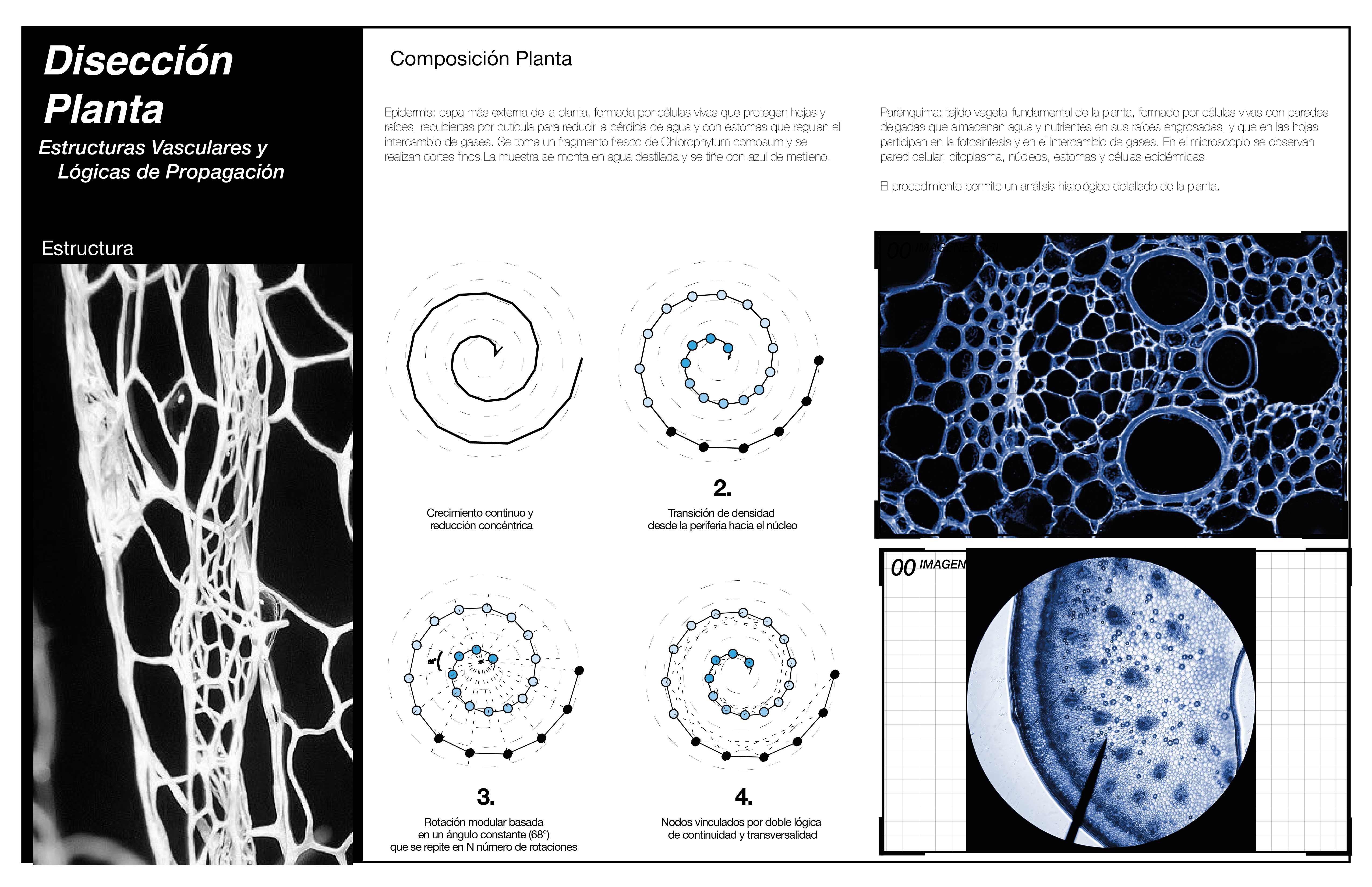 PROFUNDIZACIÓN MATERIA GENERATIVA Y FUTUROS AGREGADOS-10