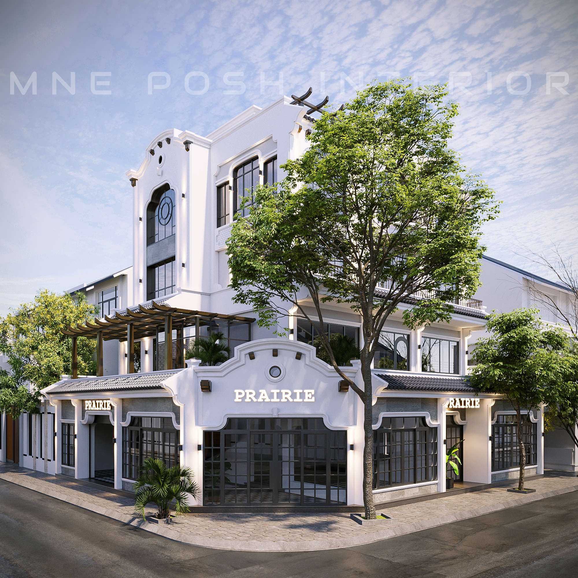 咖啡屋草原丨MNE-6