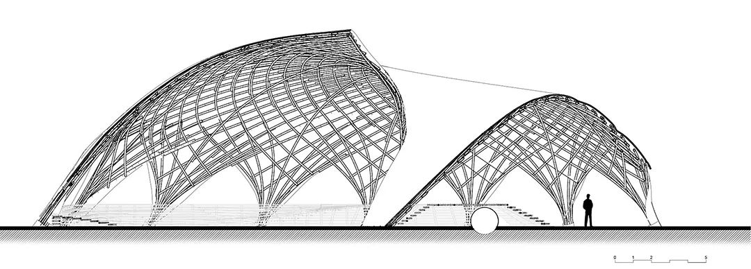虾夷丨日本丨LEAD-65