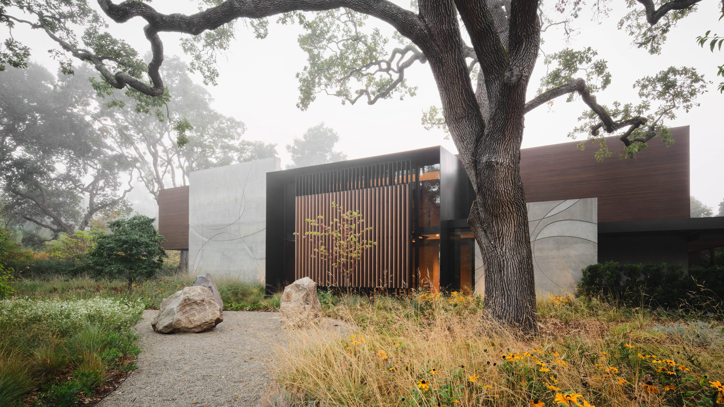 丨美国加利福尼亚-0