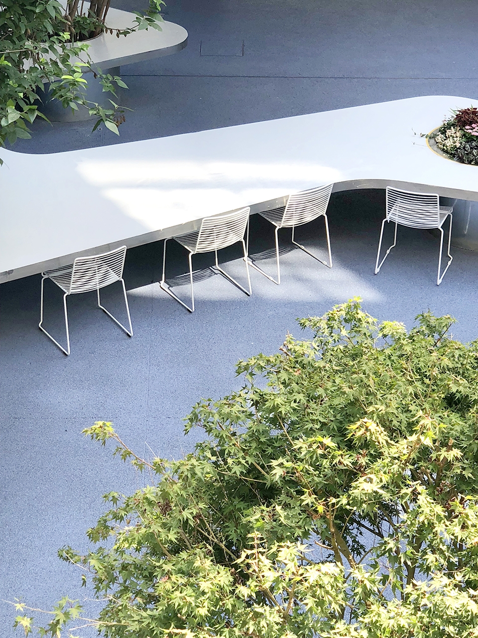 上海市实验学校中心庭院改造丨大观(上海大观景观设计有限公司)-22