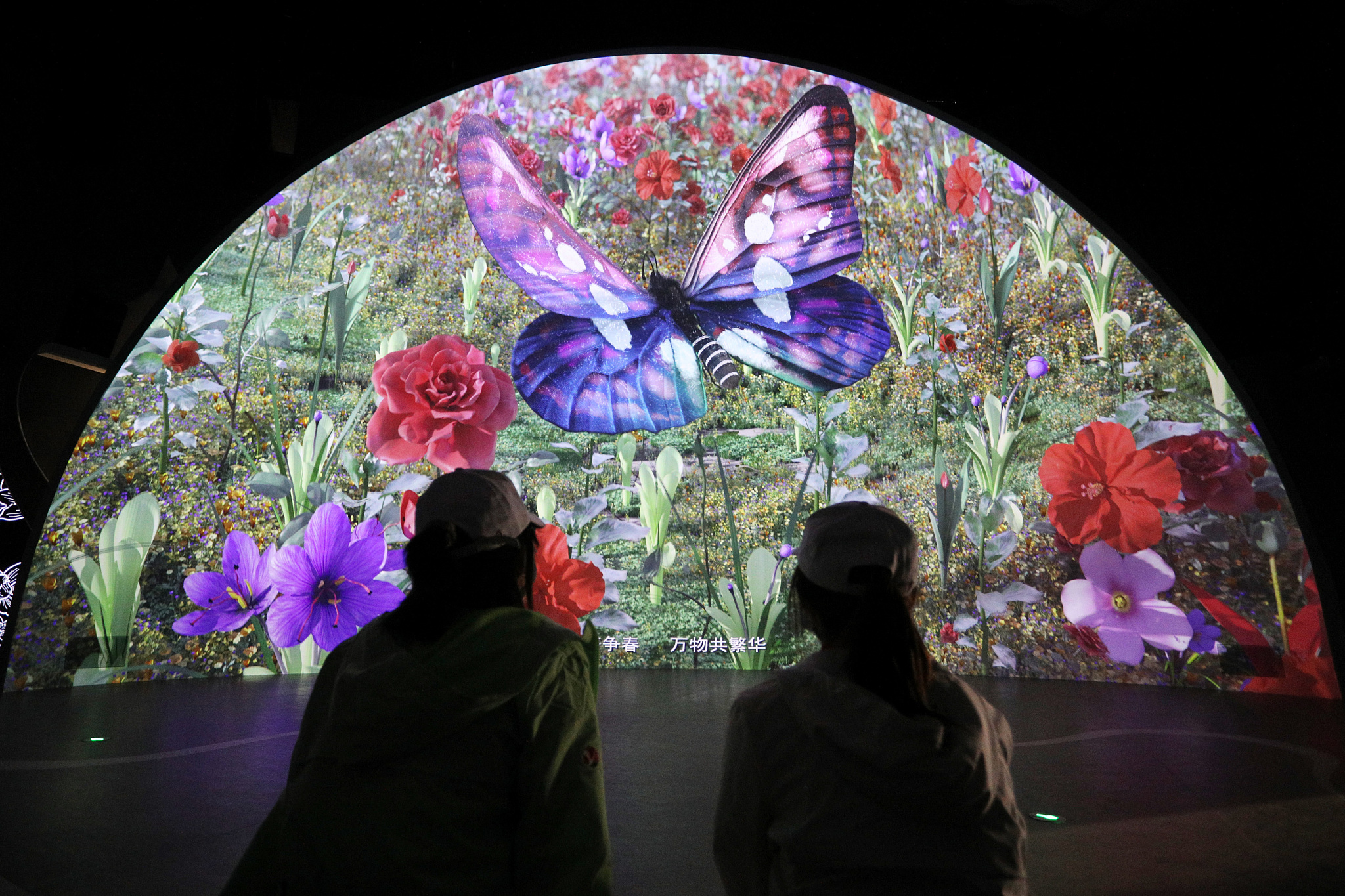 第十届中国花博会 CHINA FLOWER EXPO丨中国上海-36