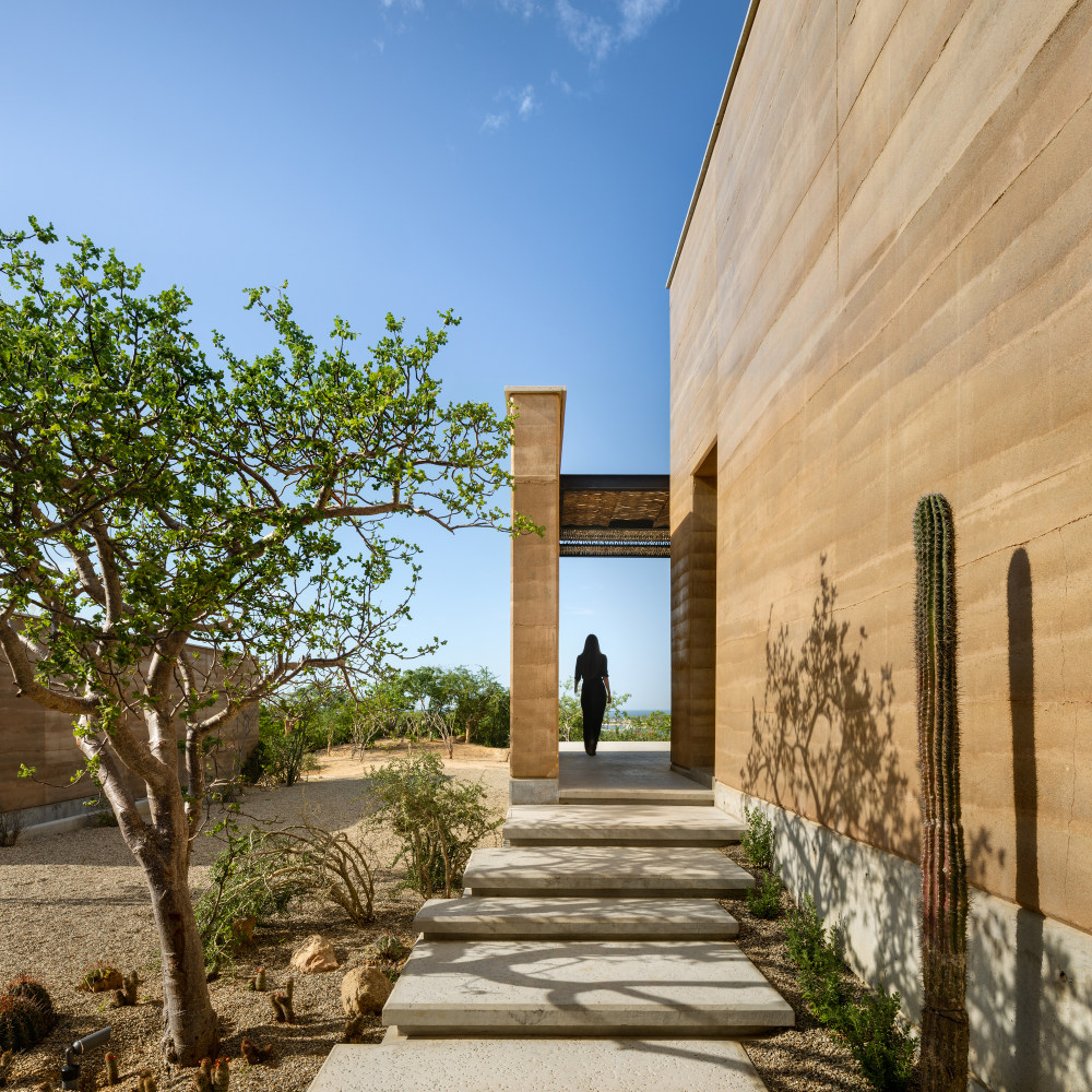 墨西哥 Ballena 艺术中心 | 自然与艺术的完美结合-28