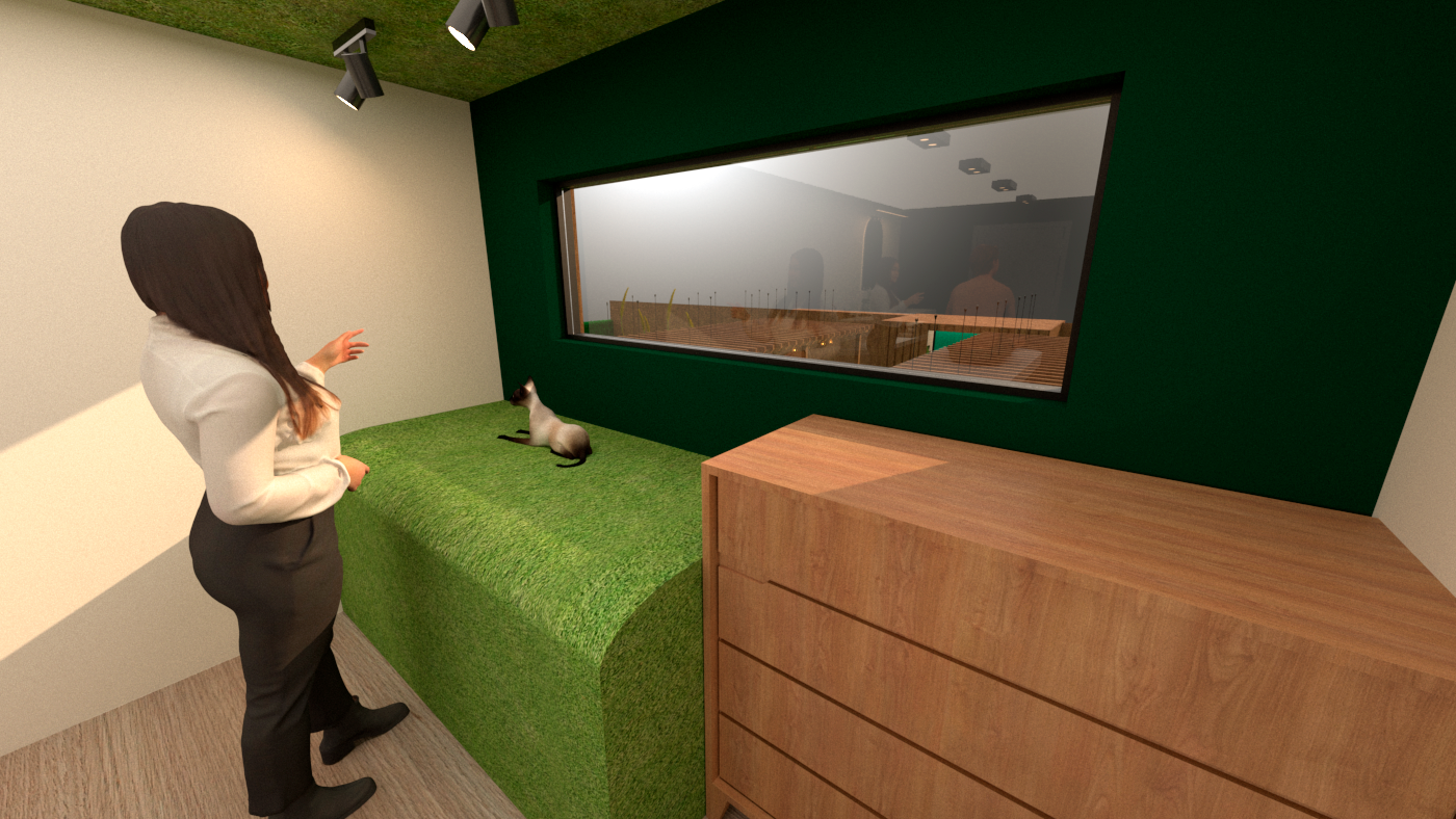 Experiencia GREENSSEN-13