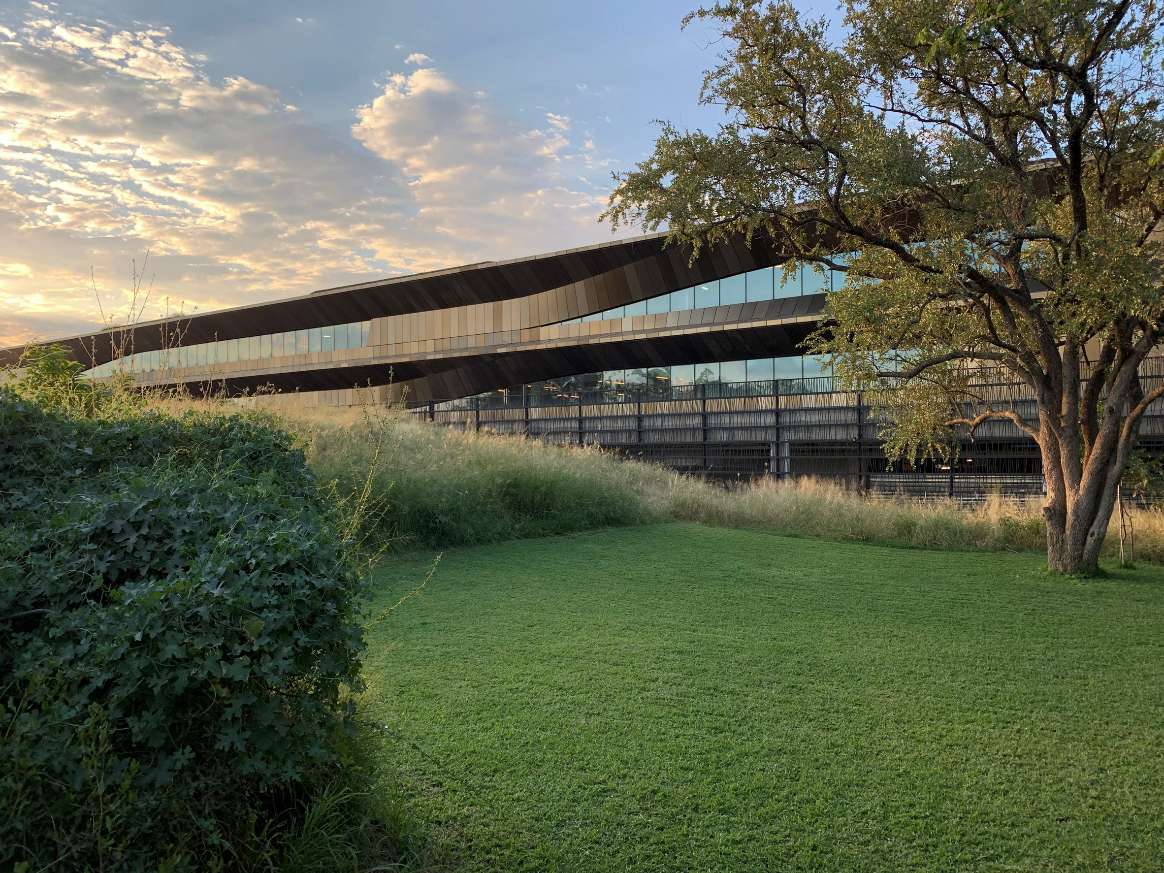 Botswana Innovation Hub | 沙漠中的绿色创新基地-3