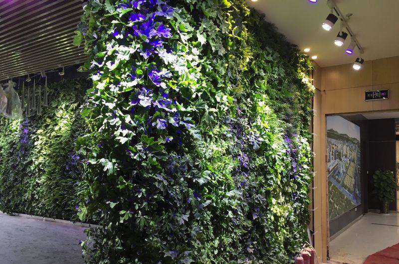 高新区国际美术城-植物墙-3