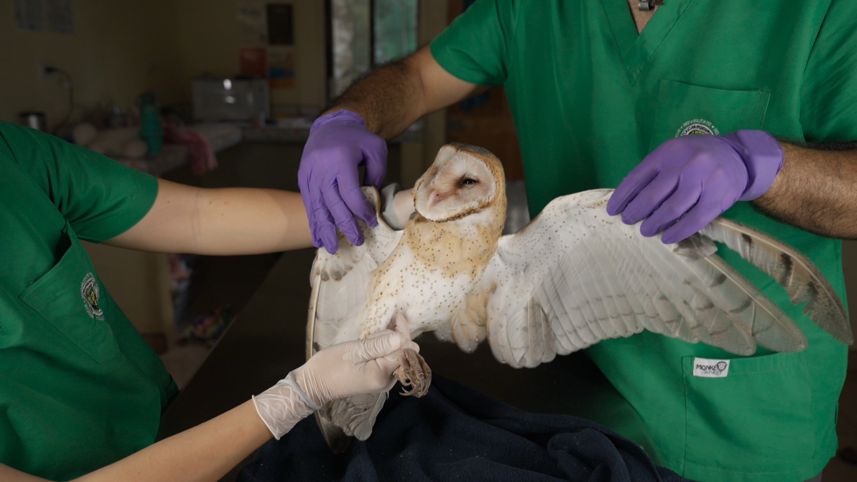 新当代艺术博物馆扩建丨美国曼哈顿丨OMA纽约,Cooper Robertson（现Corgan）-142