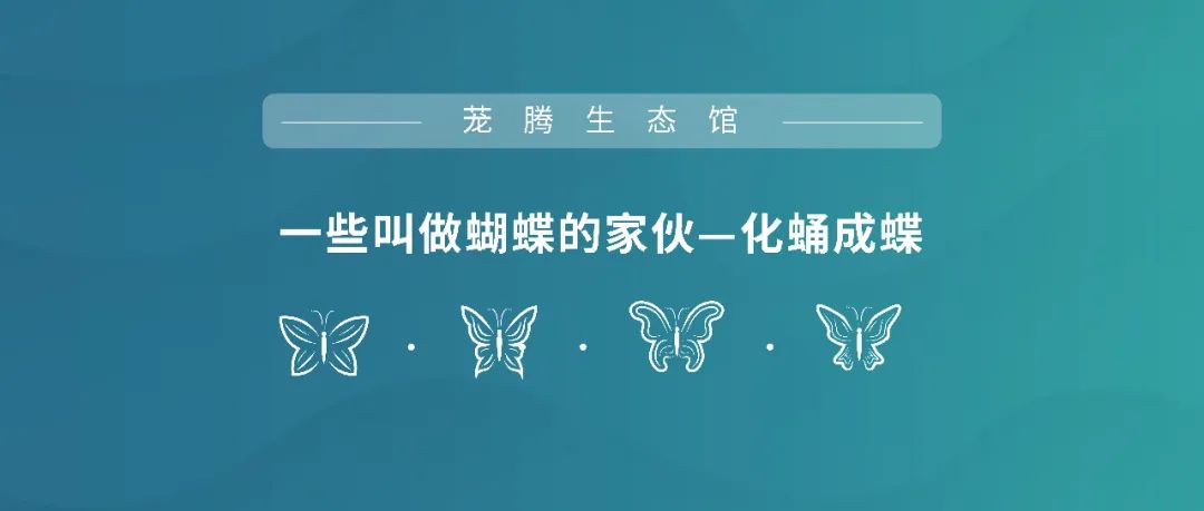 与自然和谐共生的茏腾生态馆-43